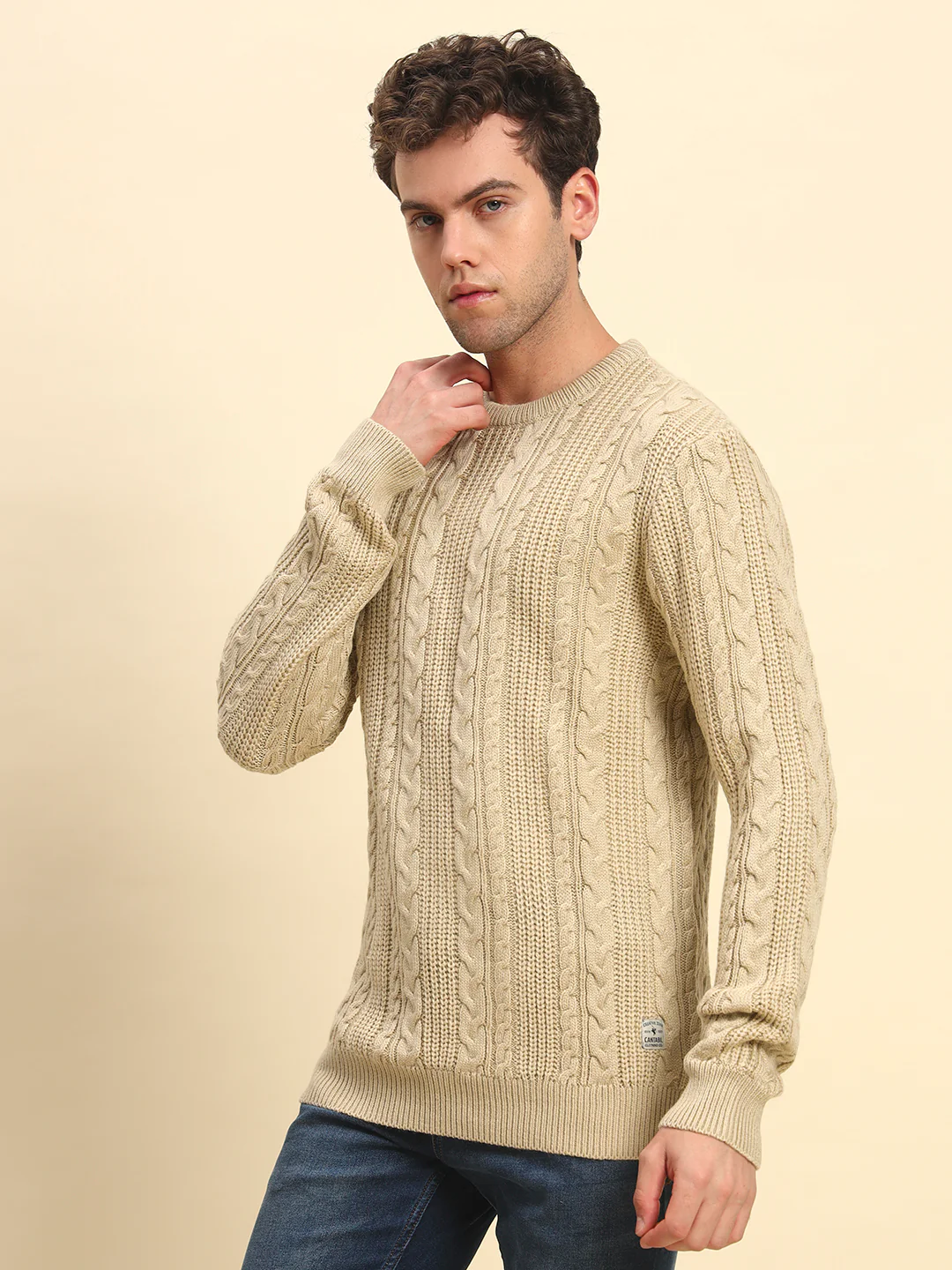 Sweater for Men | Winter Wear Acrylic Fabric Pull-On Closure Round Neck Regular Fit Self Design Pattern - Image 6