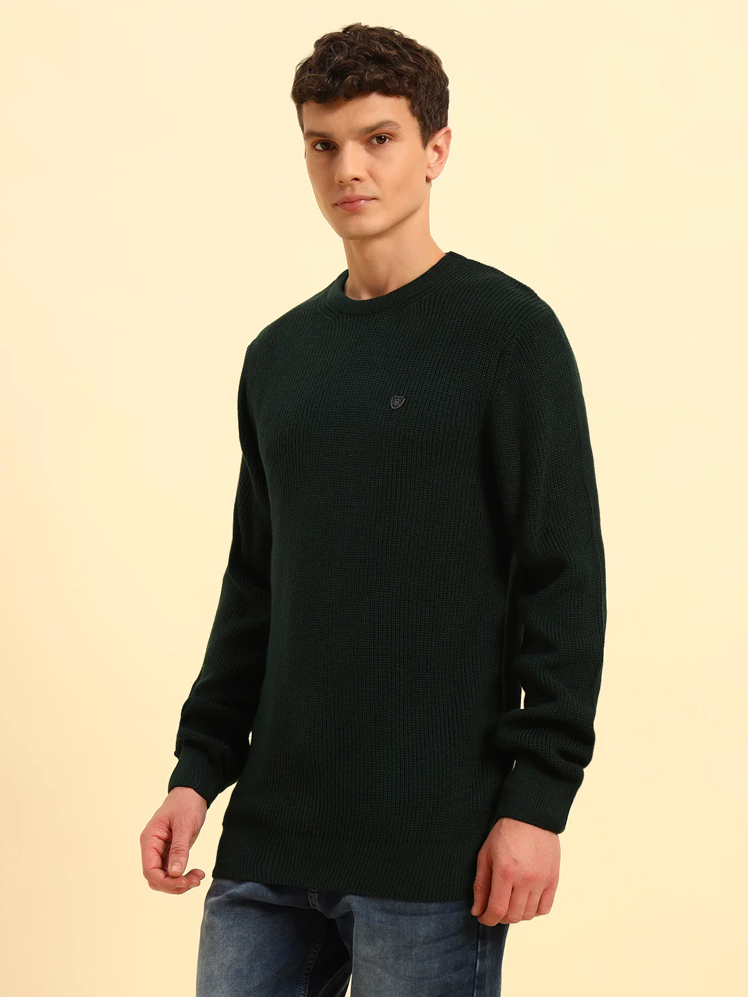 Sweater for Men | Winter Wear Acrylic Fabric Pull-On Closure Round Neck Regular Fit Self Design Pattern - Image 5