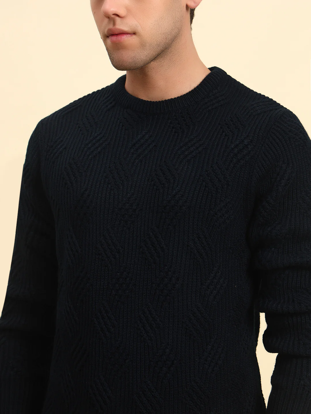 Sweater for Men | Winter Wear Acrylic Fabric Pull-On Closure Round Neck Regular Fit Self Design Pattern - Image 6