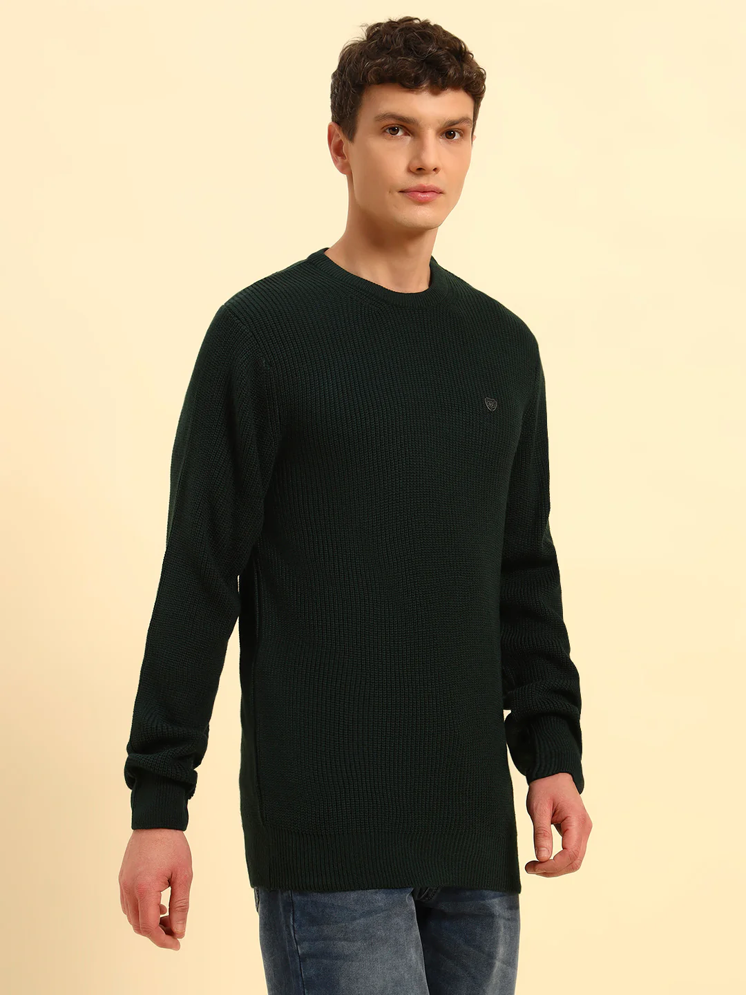 Sweater for Men | Winter Wear Acrylic Fabric Pull-On Closure Round Neck Regular Fit Self Design Pattern - Image 6