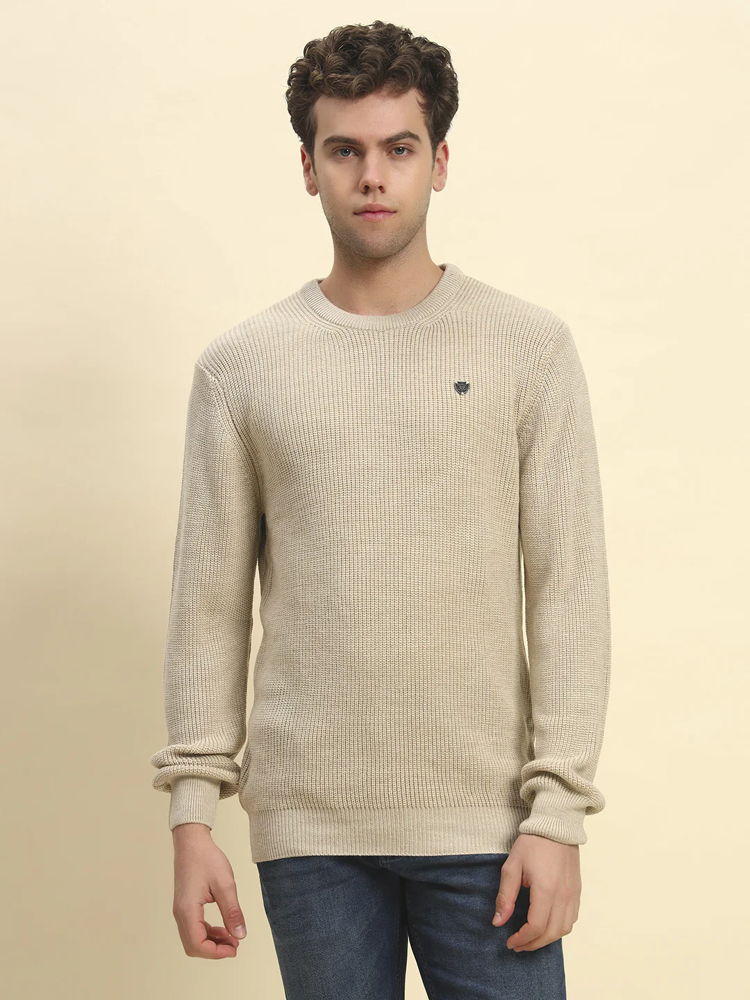 Sweater for Men | Winter Wear Acrylic Fabric Pull-On Closure Round Neck Regular Fit Solid Pattern - Image 2