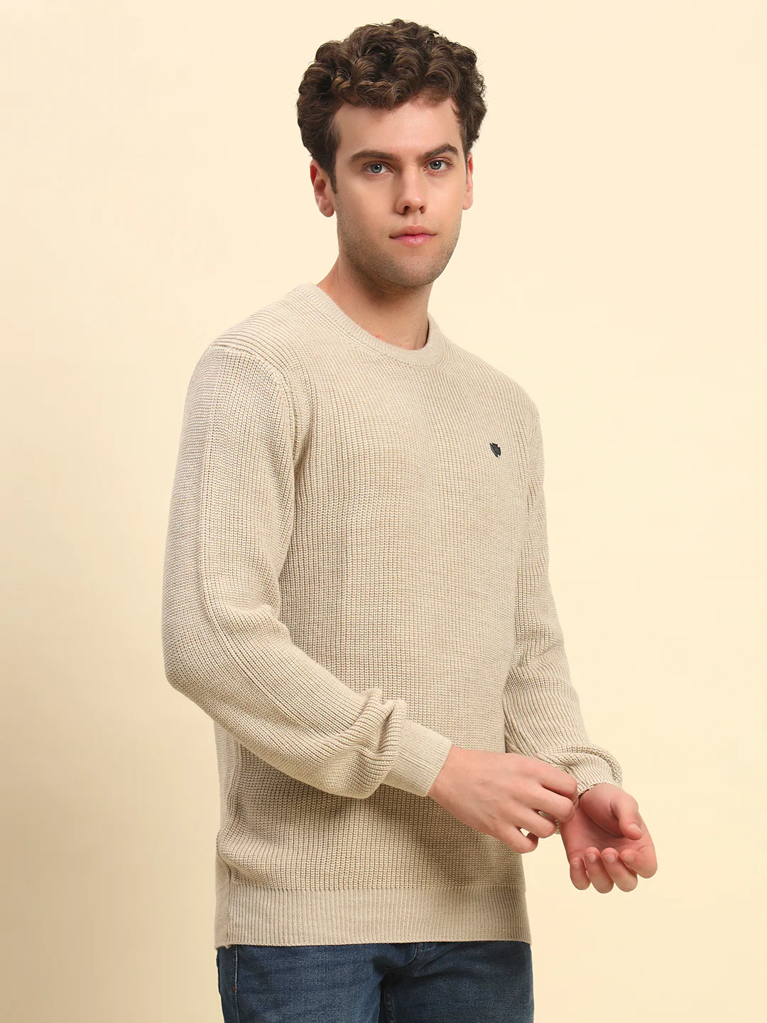 Sweater for Men | Winter Wear Acrylic Fabric Pull-On Closure Round Neck Regular Fit Solid Pattern - Image 5