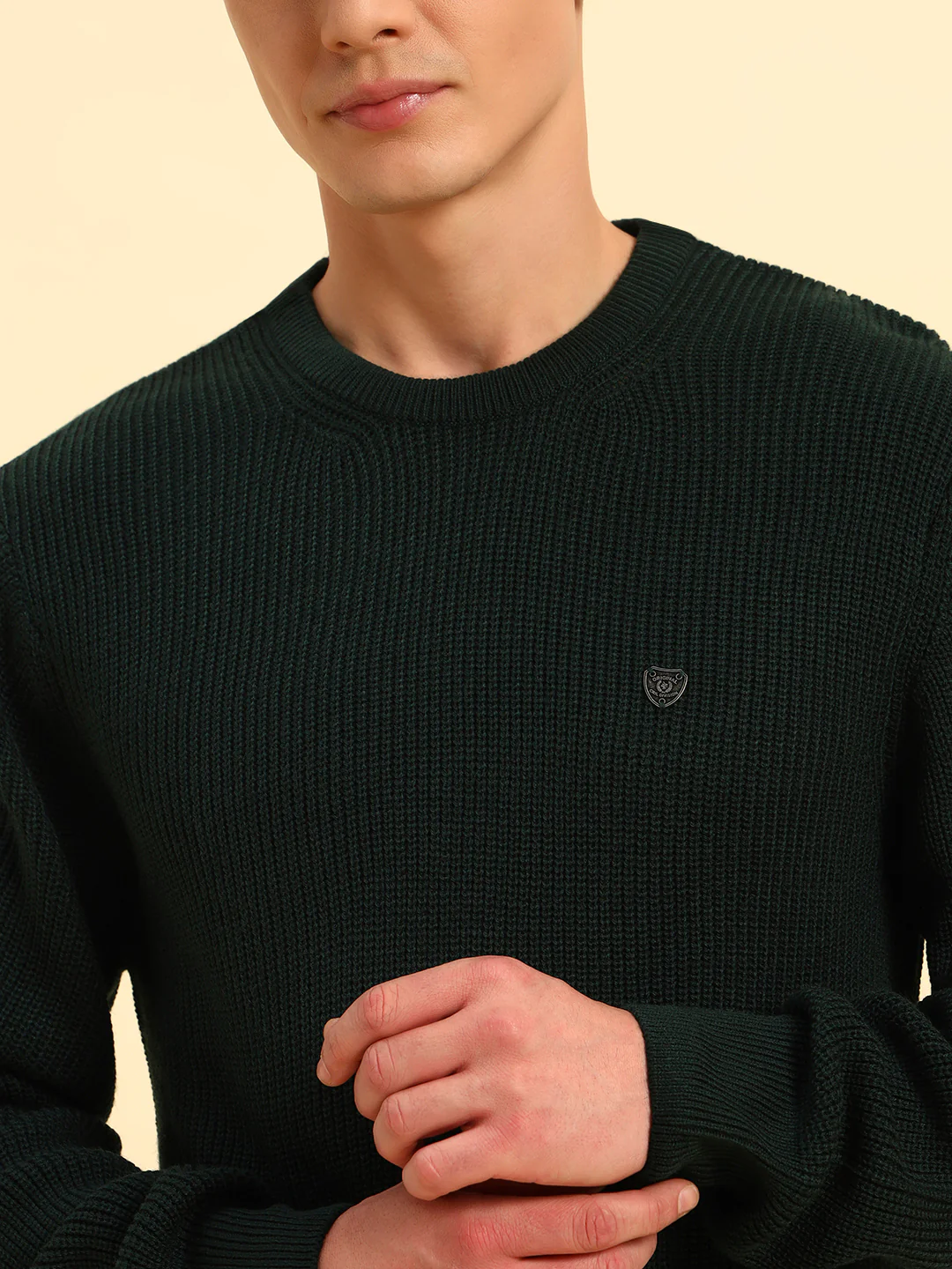 Sweater for Men | Winter Wear Acrylic Fabric Pull-On Closure Round Neck Regular Fit Self Design Pattern - Image 7