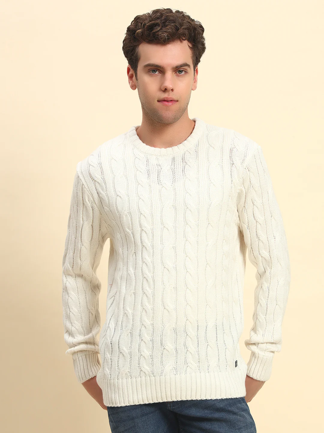 Sweater for Men | Winter Wear Acrylic Fabric Pull-On Closure Round Neck Regular Fit Self Design Pattern - Image 2