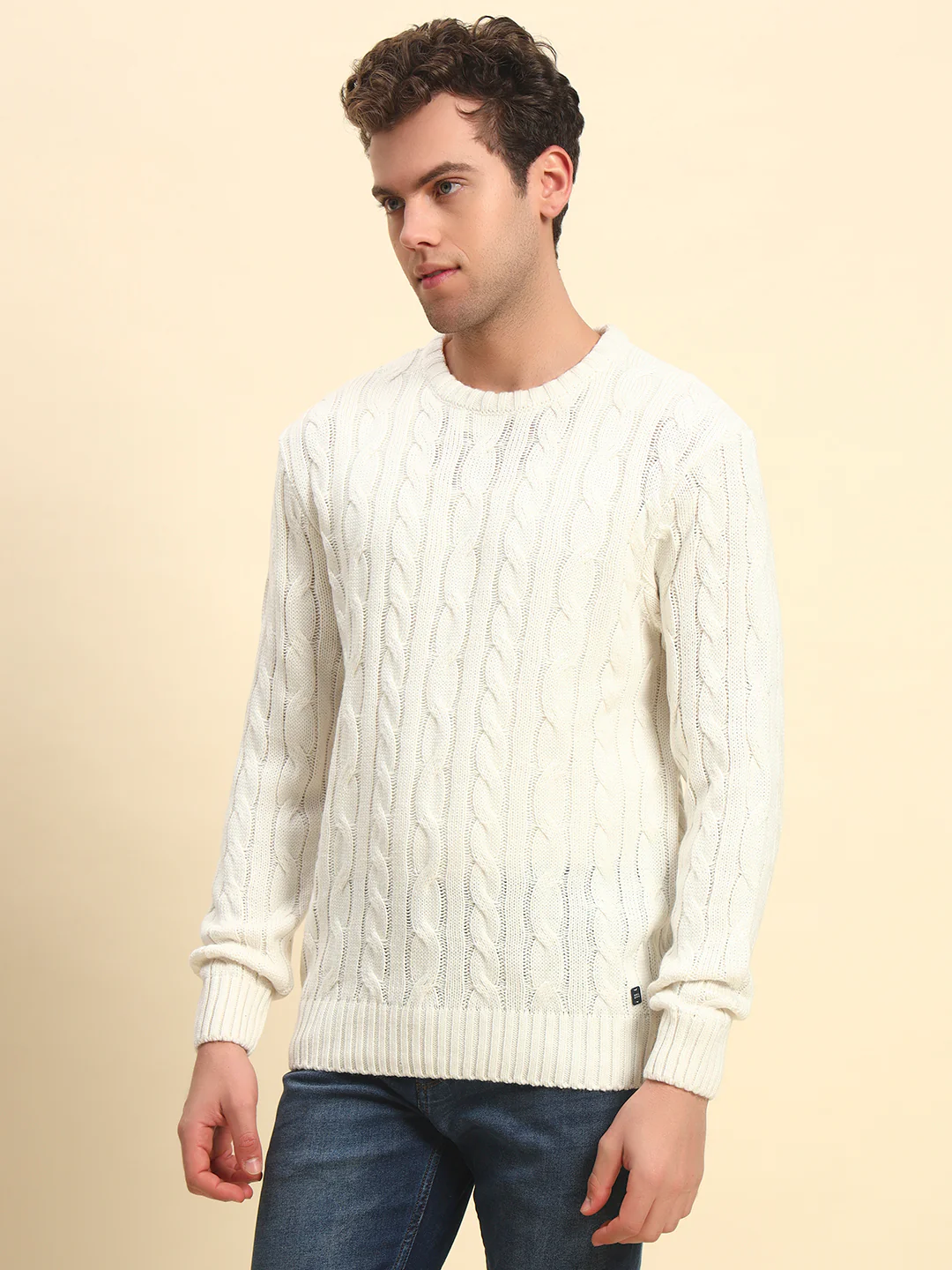 Sweater for Men | Winter Wear Acrylic Fabric Pull-On Closure Round Neck Regular Fit Self Design Pattern - Image 4