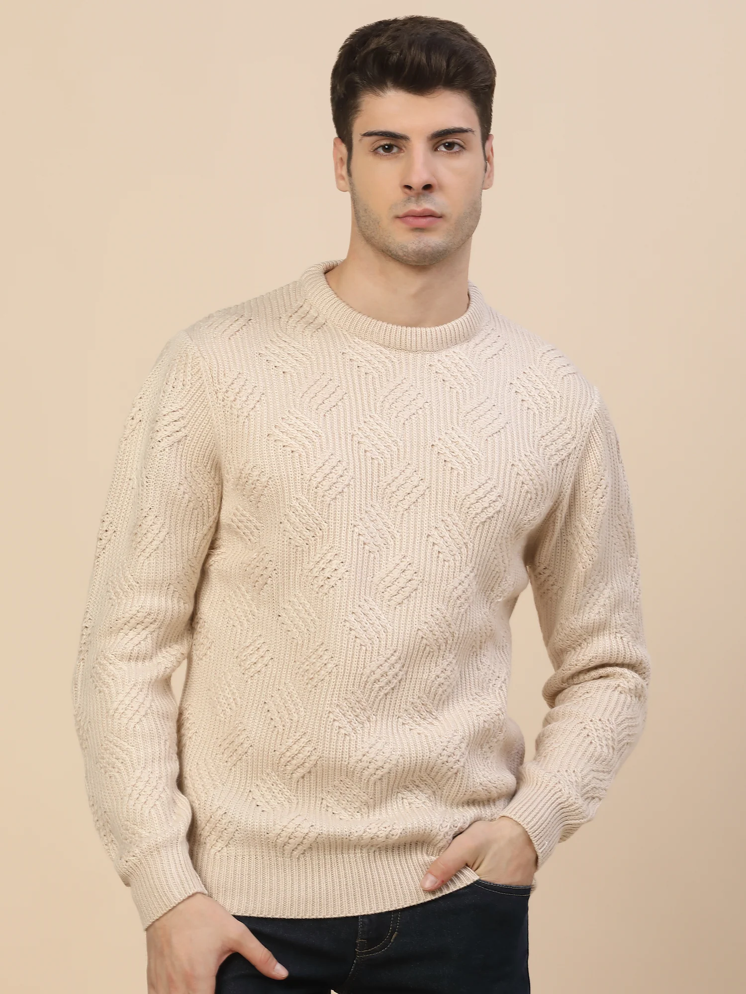 Sweater for Men | Winter Wear Acrylic Fabric Pull-On Closure Round Neck Regular Fit Self Design Pattern - Image 2