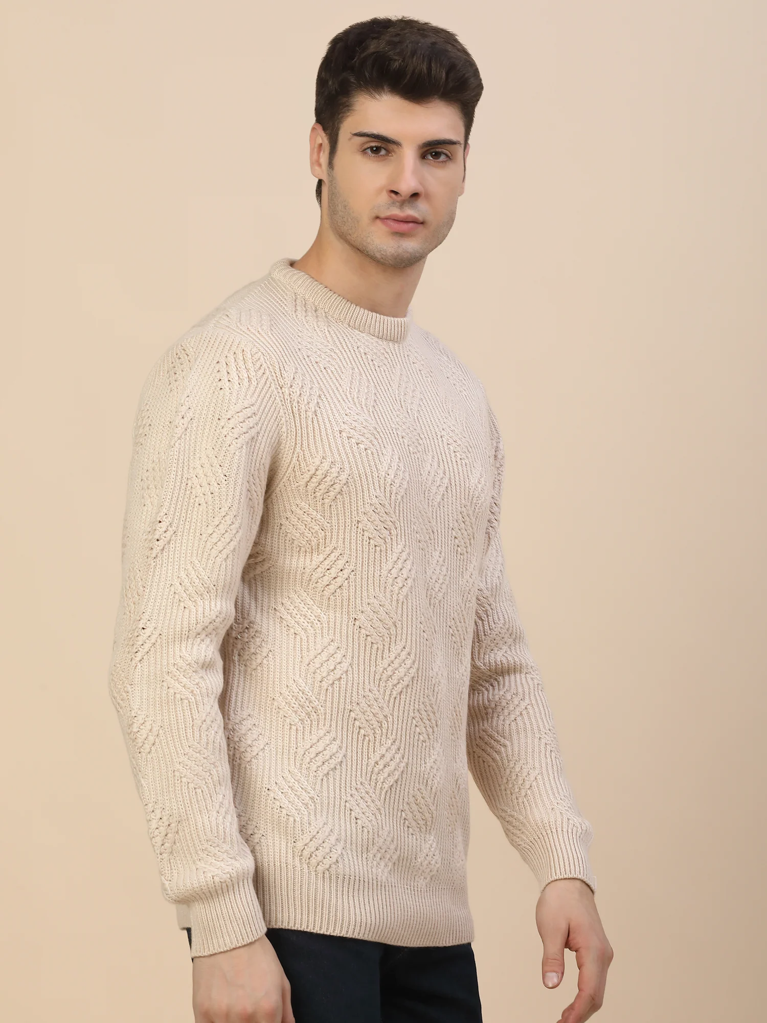 Sweater for Men | Winter Wear Acrylic Fabric Pull-On Closure Round Neck Regular Fit Self Design Pattern - Image 4