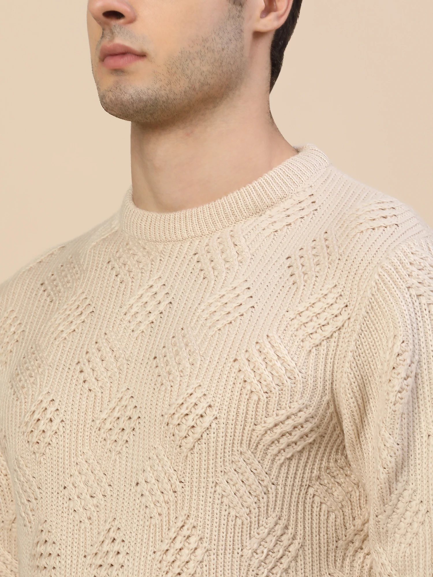 Sweater for Men | Winter Wear Acrylic Fabric Pull-On Closure Round Neck Regular Fit Self Design Pattern - Image 5