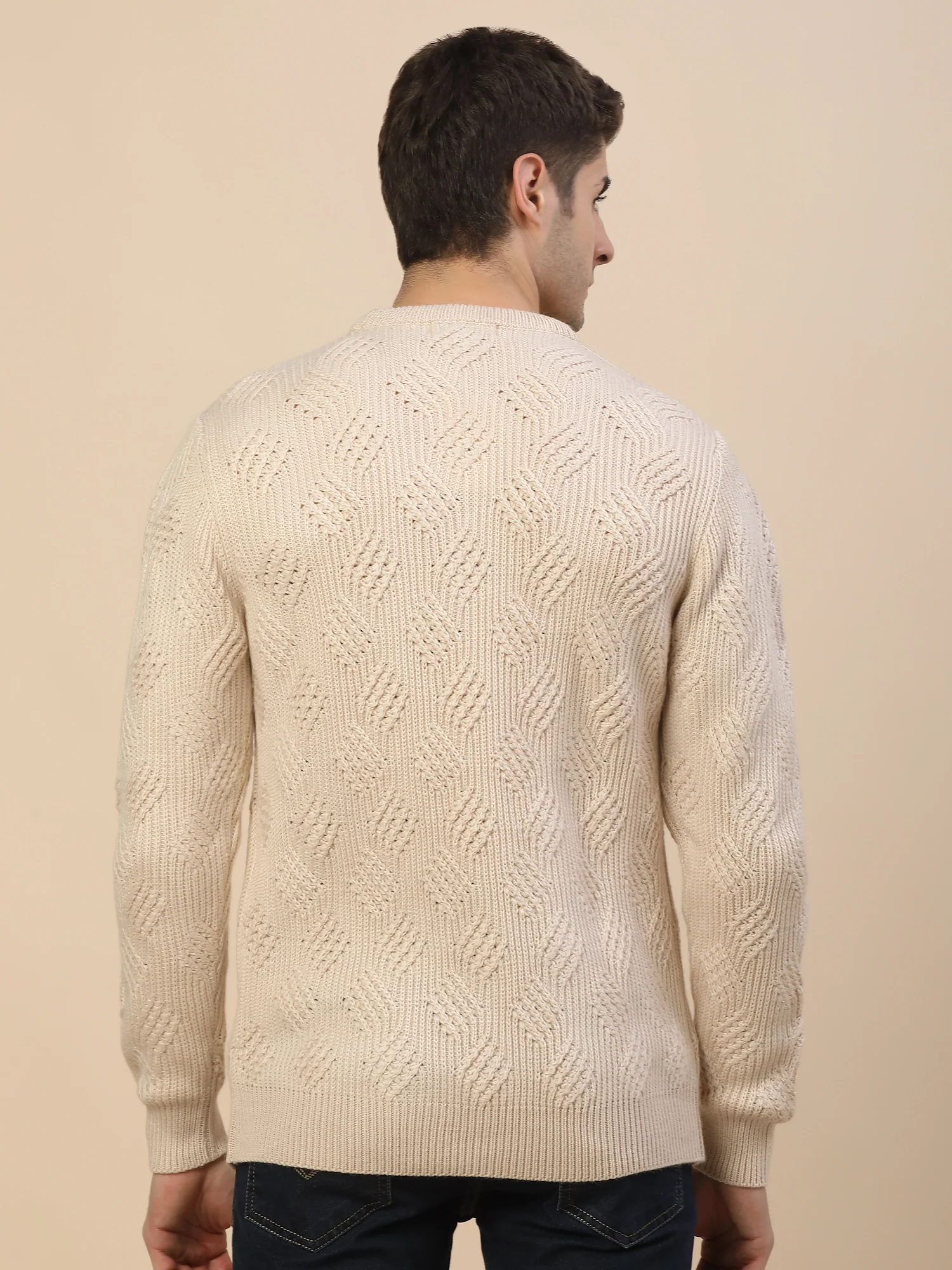 Sweater for Men | Winter Wear Acrylic Fabric Pull-On Closure Round Neck Regular Fit Self Design Pattern - Image 6