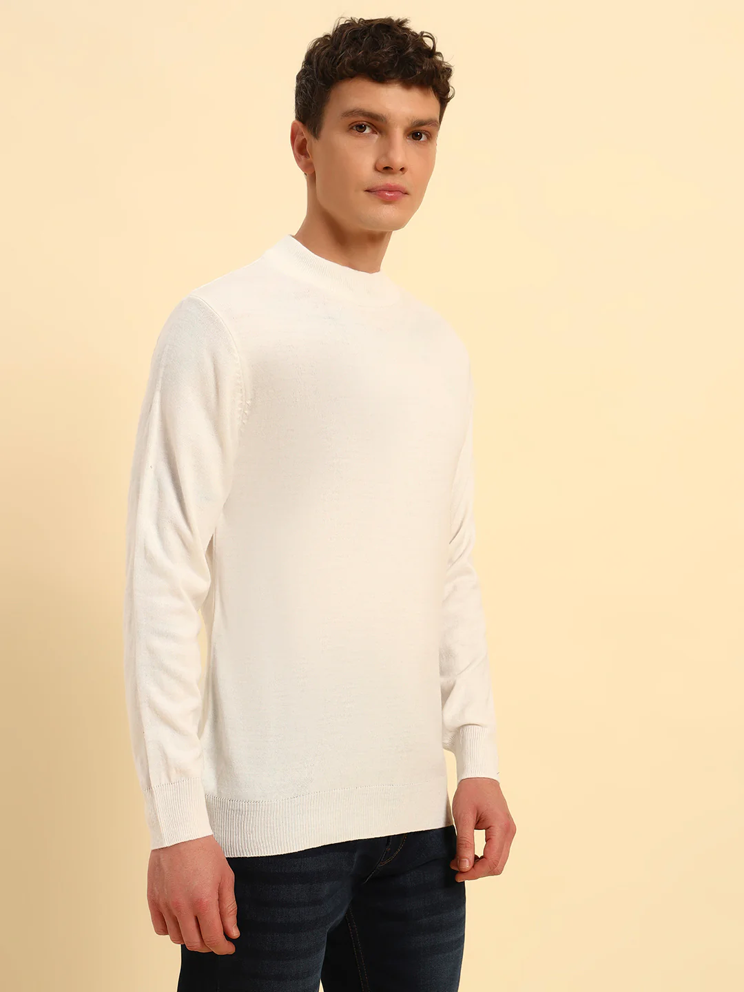 Sweater for Men | Winter Wear Acrylic Fabric Pull-On Closure Round Neck Regular Fit Solid Pattern - Image 6