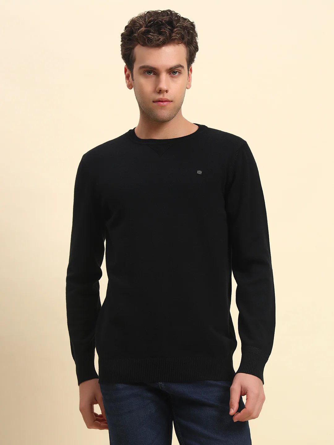Sweater for Men | Winter Wear Acrylic Fabric Pull-On Closure Round Neck Regular Fit Solid Pattern - Image 4