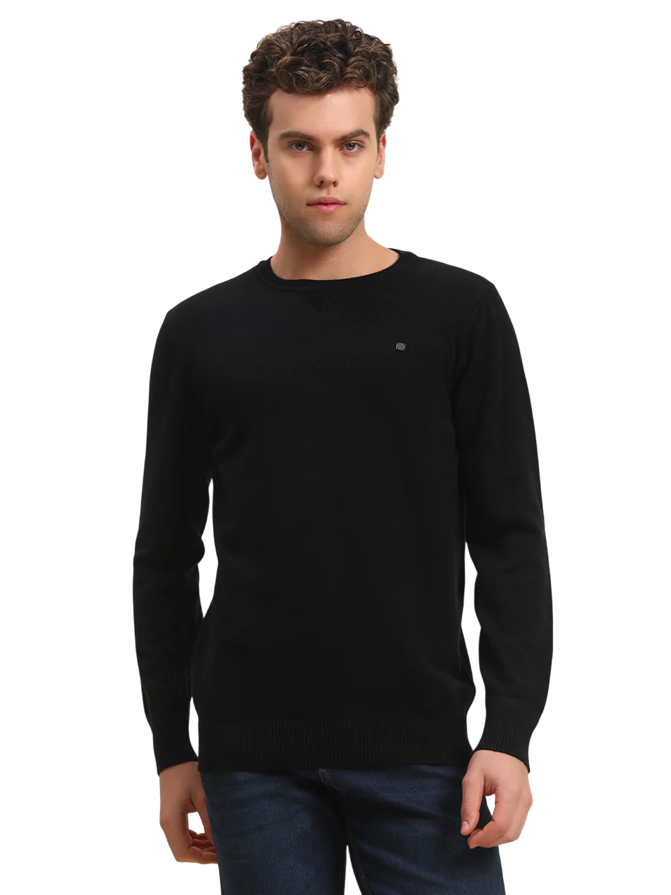 Sweater for Men | Winter Wear Acrylic Fabric Pull-On Closure Round Neck Regular Fit Solid Pattern - Image 5