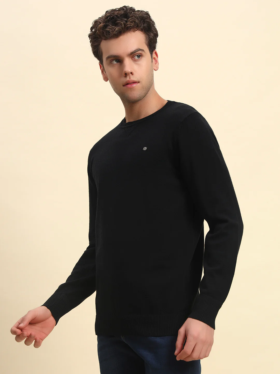 Sweater for Men | Winter Wear Acrylic Fabric Pull-On Closure Round Neck Regular Fit Solid Pattern - Image 6