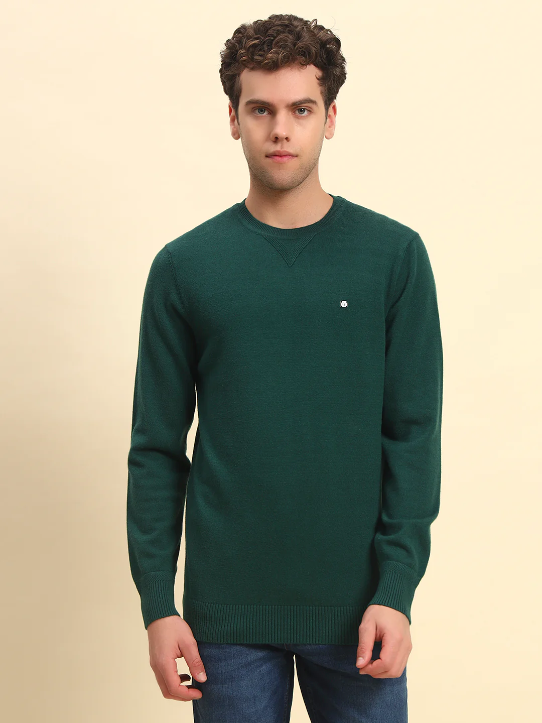Sweater for Men | Winter Wear Acrylic Fabric Pull-On Closure Round Neck Regular Fit Solid Pattern - Image 3