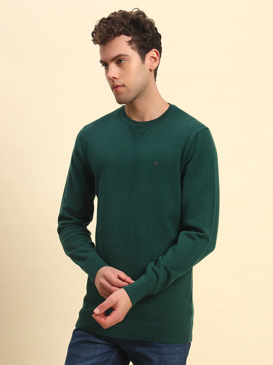Sweater for Men | Winter Wear Acrylic Fabric Pull-On Closure Round Neck Regular Fit Solid Pattern - Image 4