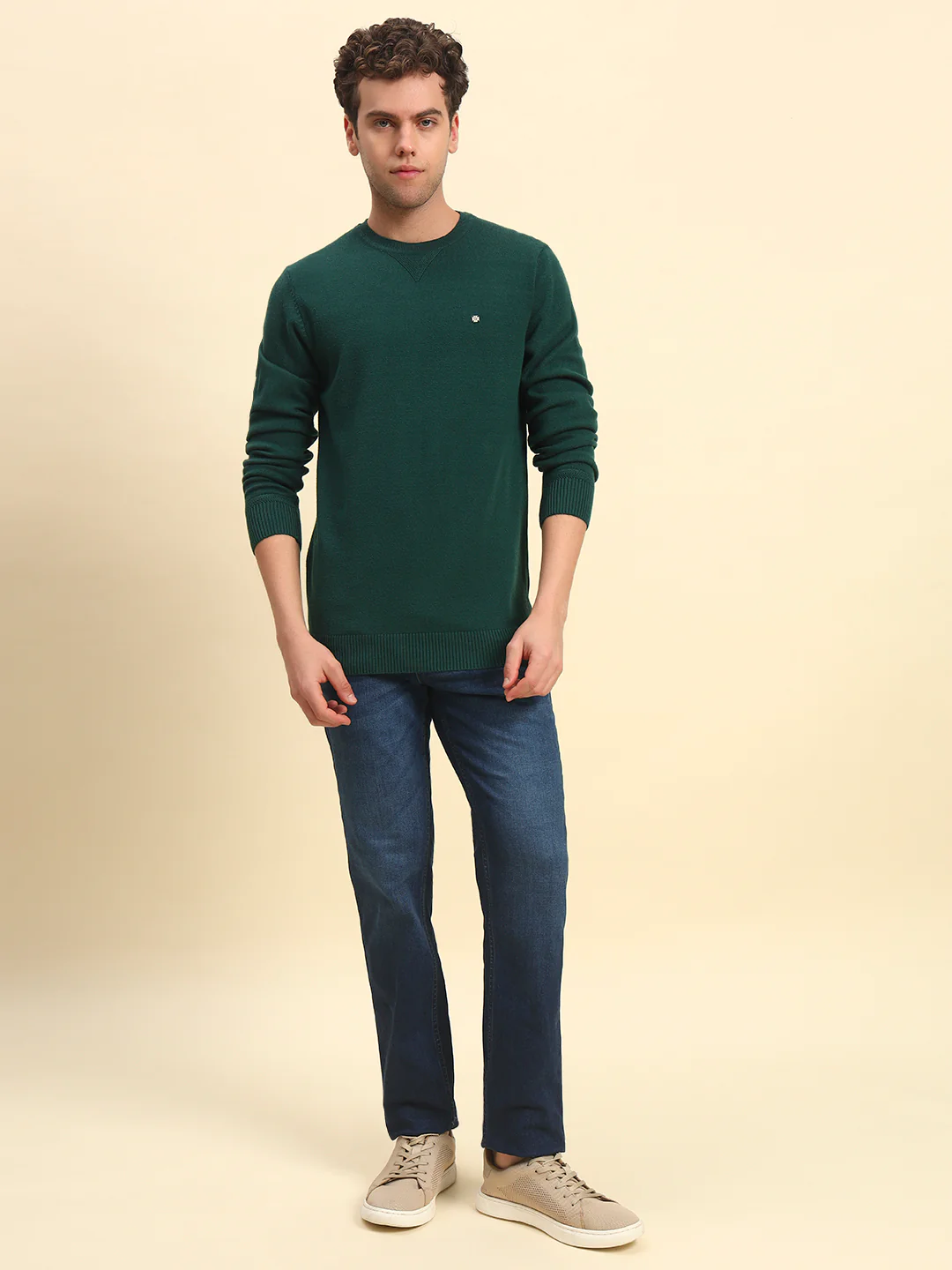 Sweater for Men | Winter Wear Acrylic Fabric Pull-On Closure Round Neck Regular Fit Solid Pattern - Image 6
