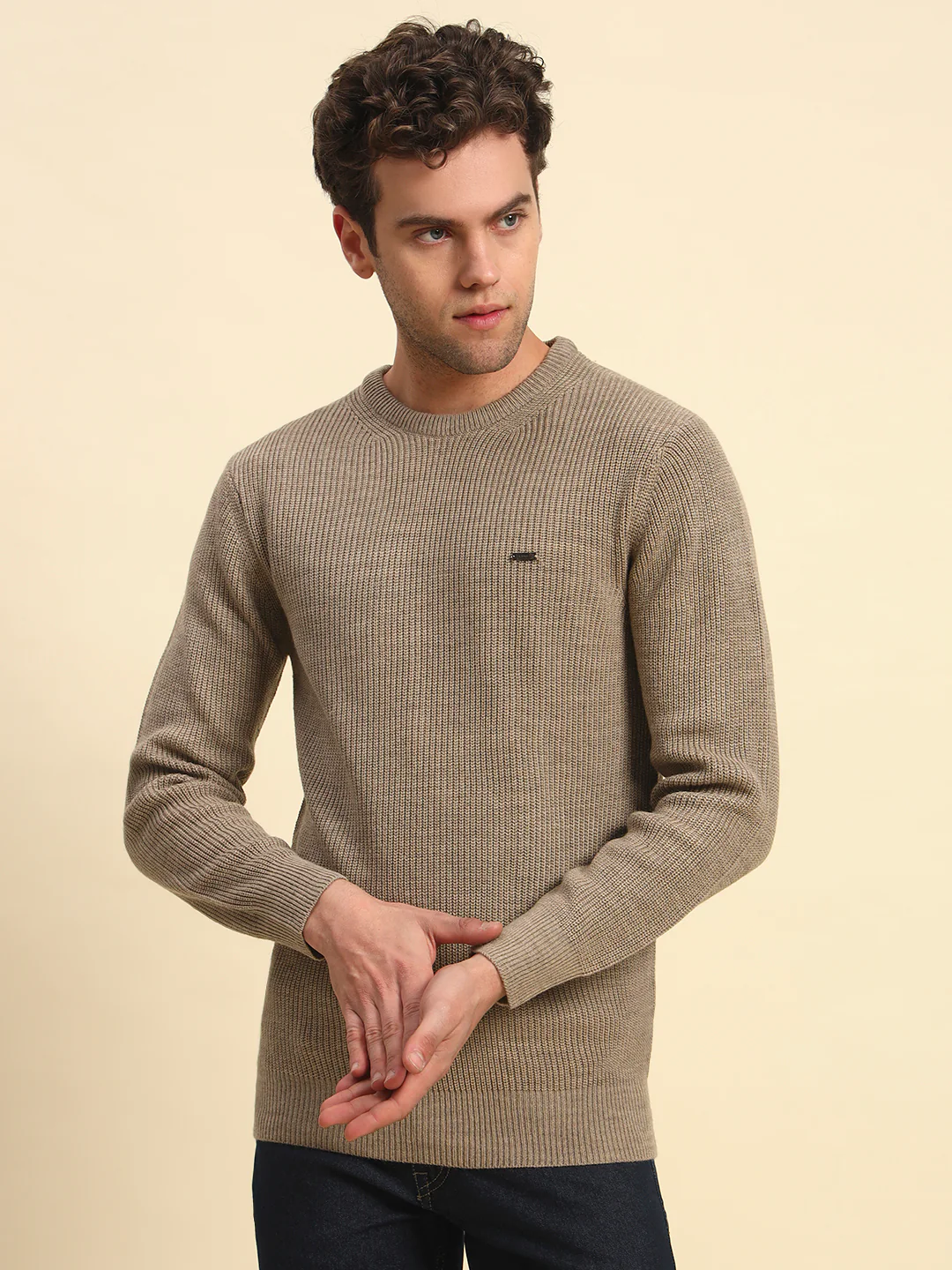 Sweater for Men | Winter Wear Acrylic Fabric Pull-On Closure Round Neck Regular Fit Solid Pattern - Image 5