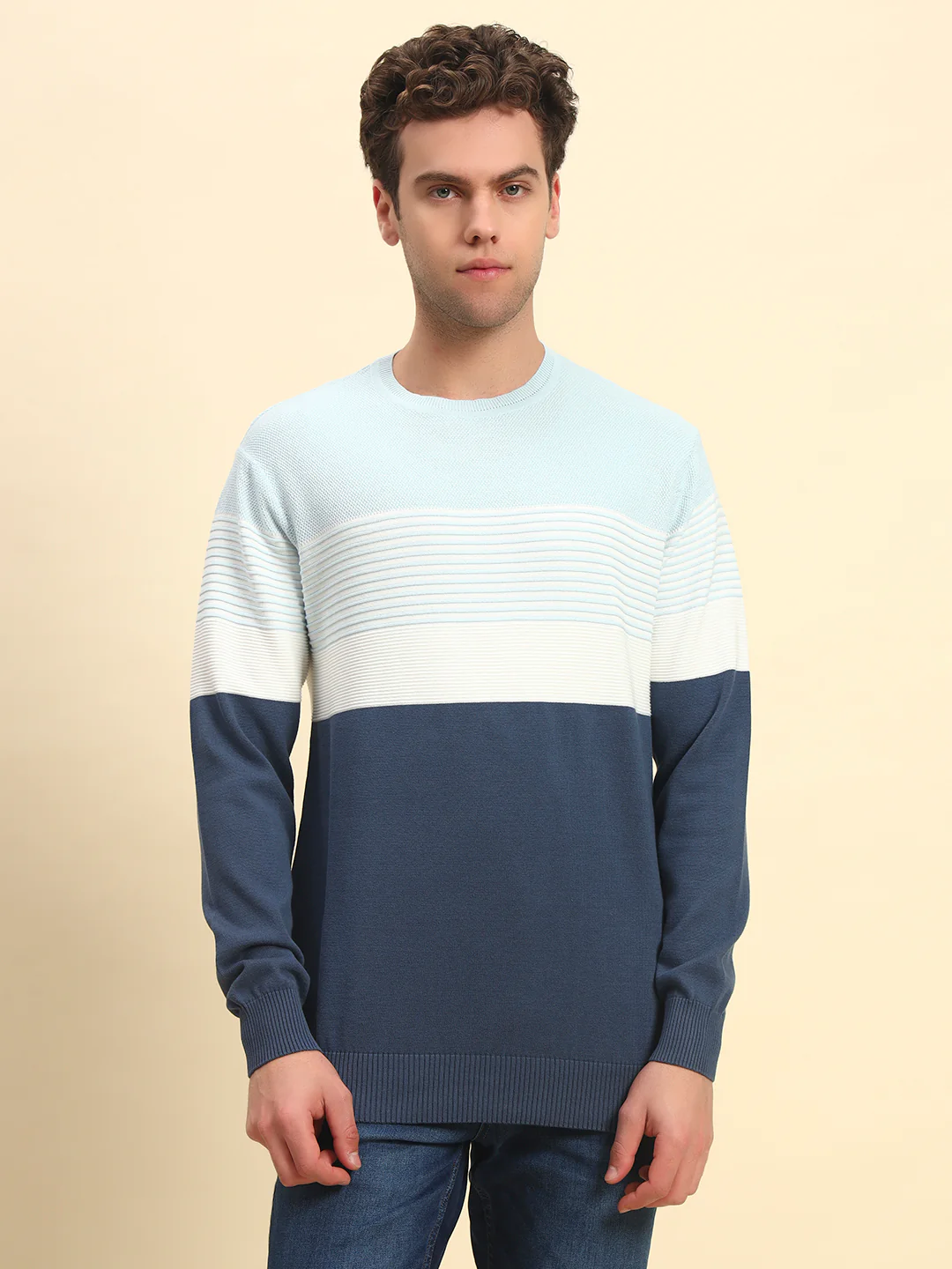 Sweater for Men | Winter Wear Acrylic Fabric Pull-On Closure Round Neck Regular Fit Striped Pattern - Image 2