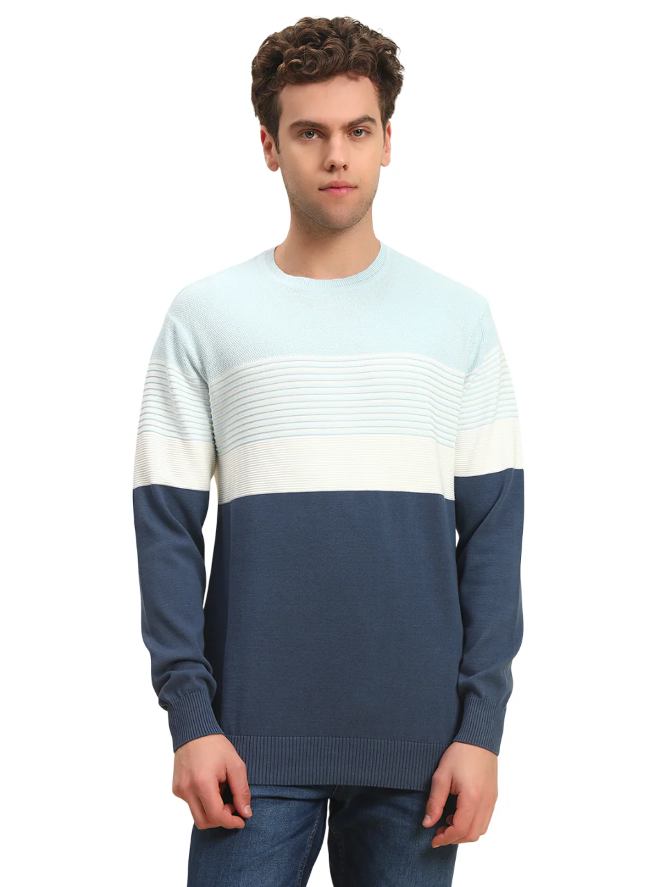 Sweater for Men | Winter Wear Acrylic Fabric Pull-On Closure Round Neck Regular Fit Striped Pattern - Image 3