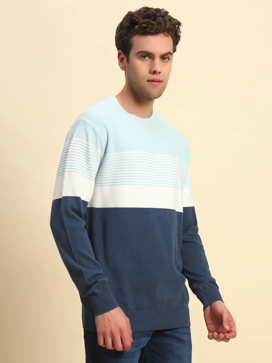 Sweater for Men | Winter Wear Acrylic Fabric Pull-On Closure Round Neck Regular Fit Striped Pattern - Image 4
