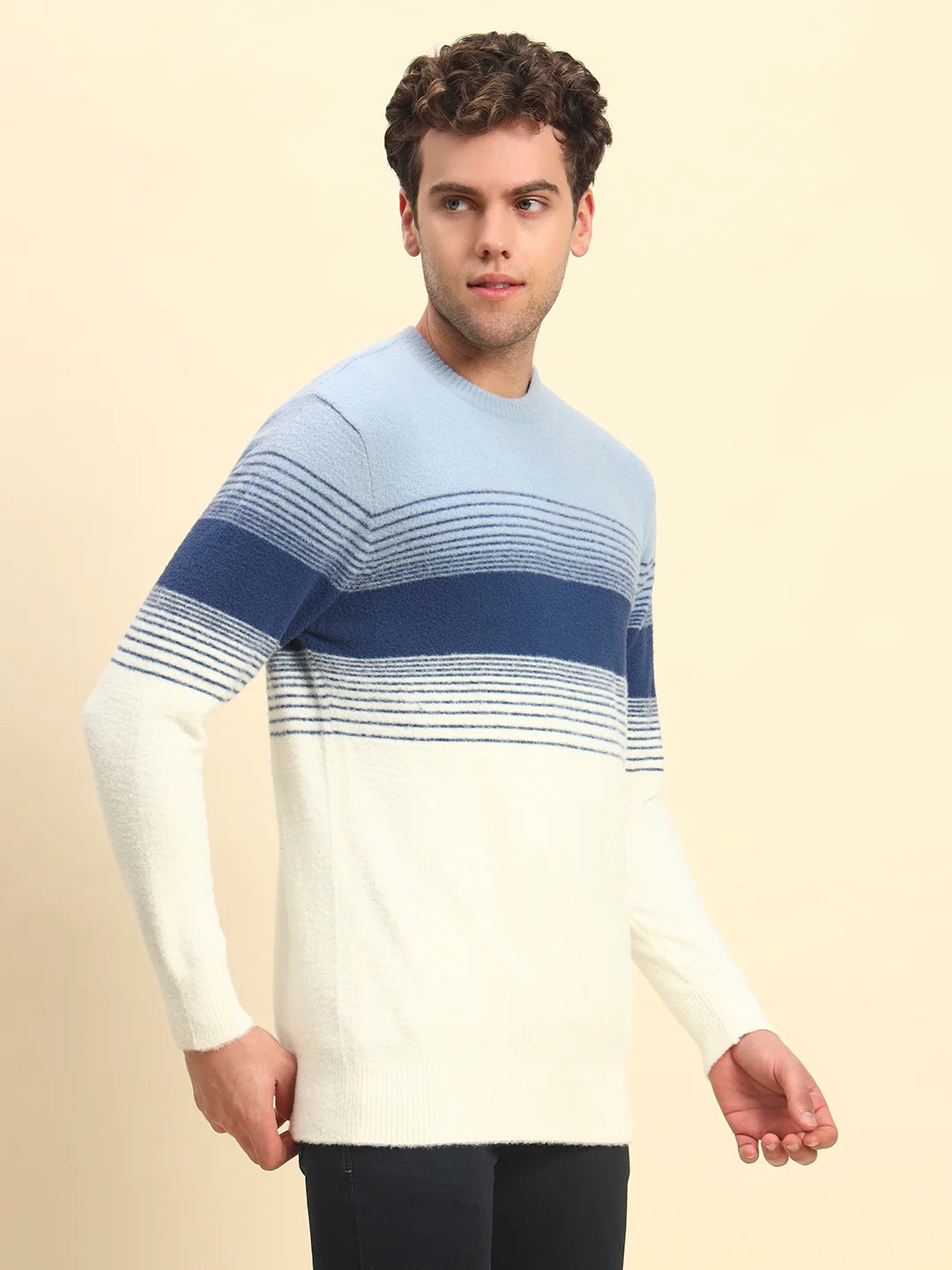 Sweater for Men | Winter Wear Acrylic Fabric Pull-On Closure Round Neck Regular Fit Striped Pattern - Image 5