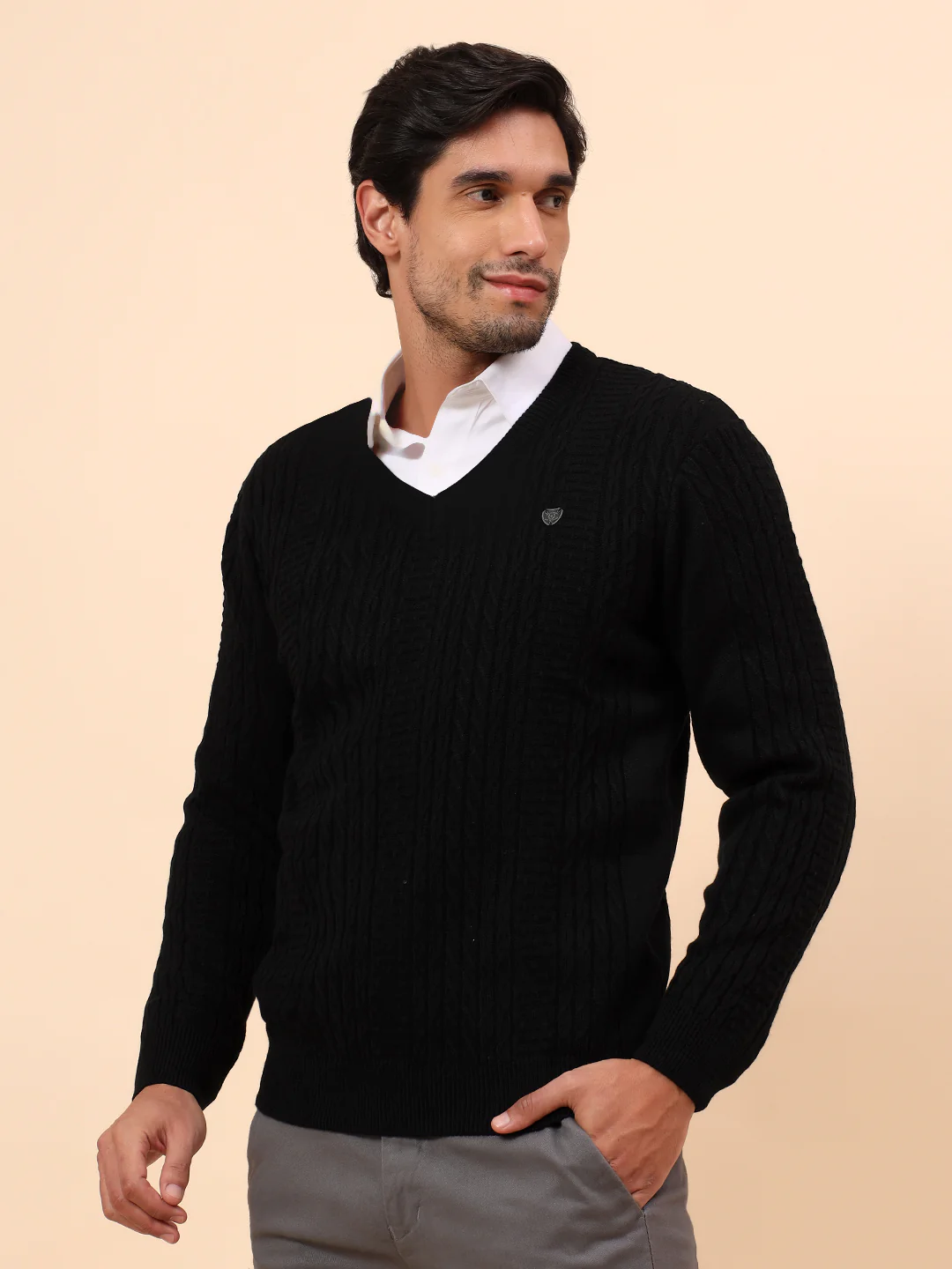 Sweater for Men | Winter Wear Acrylic Fabric Pull-On Closure V-Neck Regular Fit Self Design Pattern - Image 4