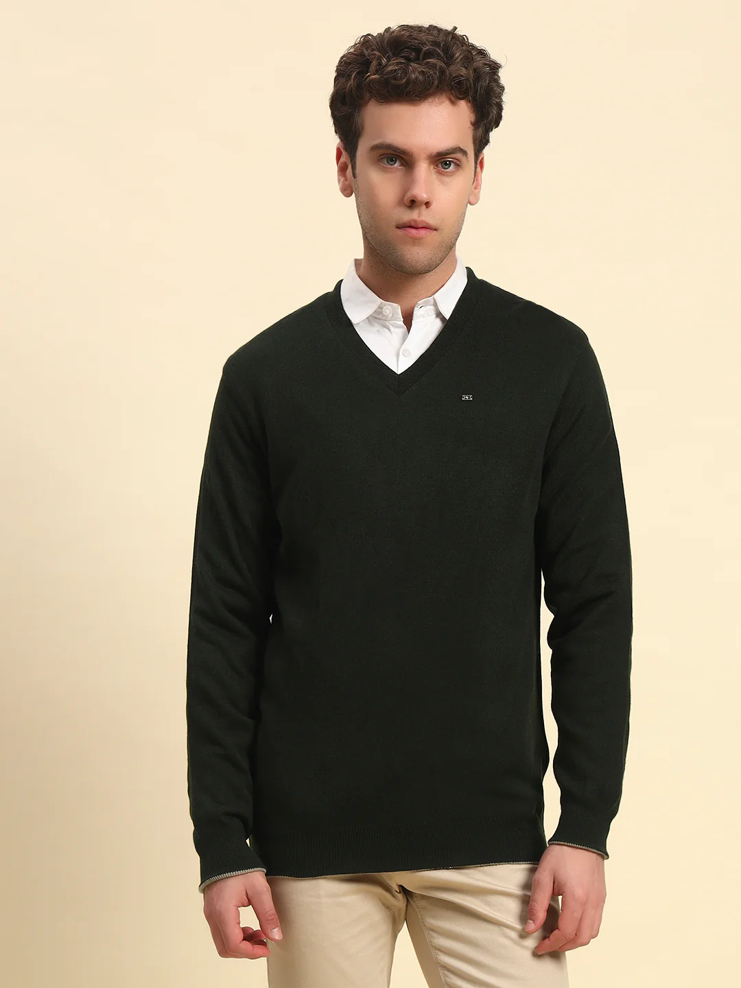 Sweater for Men | Winter Wear Acrylic Fabric Pull-On Closure V-Neck Regular Fit Solid Pattern - Image 4