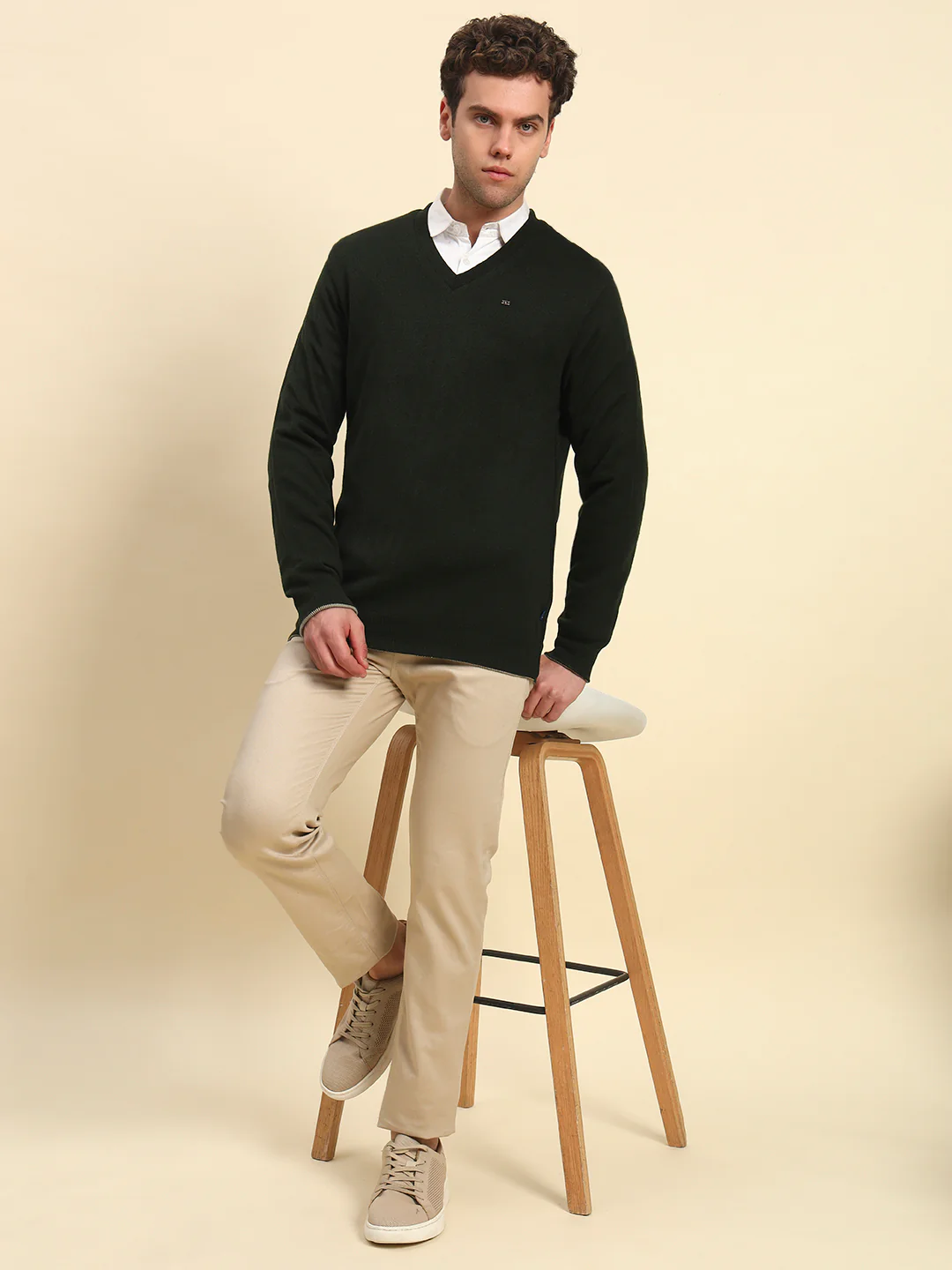 Sweater for Men | Winter Wear Acrylic Fabric Pull-On Closure V-Neck Regular Fit Solid Pattern - Image 8