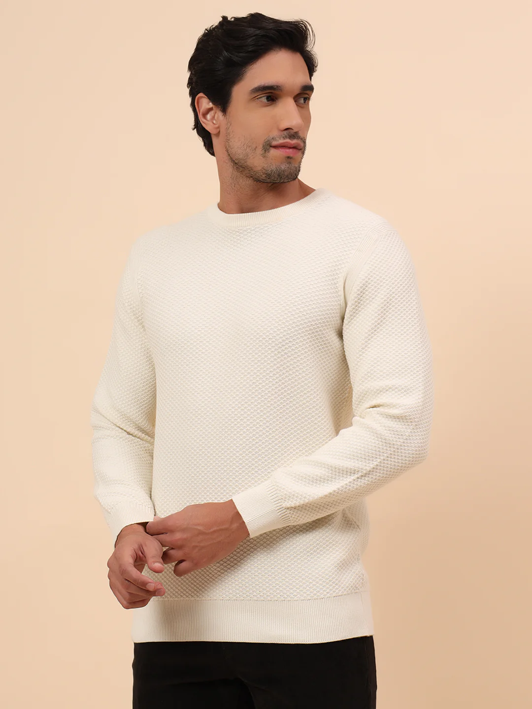 Sweater for Men | Winter Wear Cotton Fabric Pull-On Closure Round Neck Regular Fit Self Design Pattern - Image 4