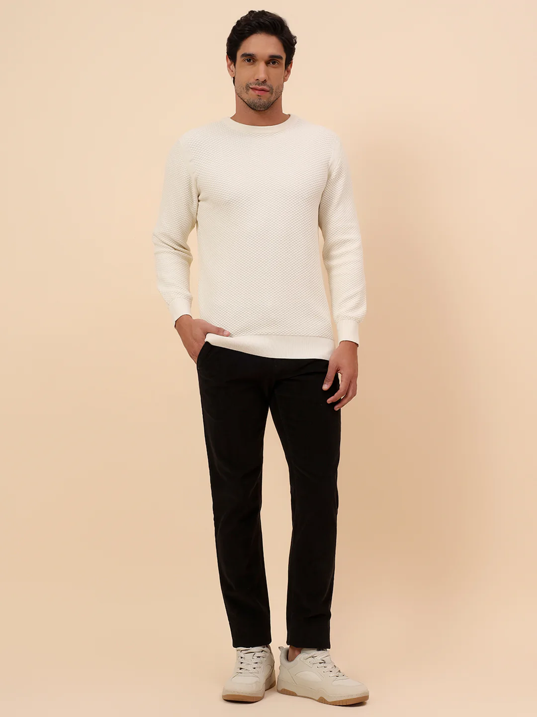 Sweater for Men | Winter Wear Cotton Fabric Pull-On Closure Round Neck Regular Fit Self Design Pattern - Image 8