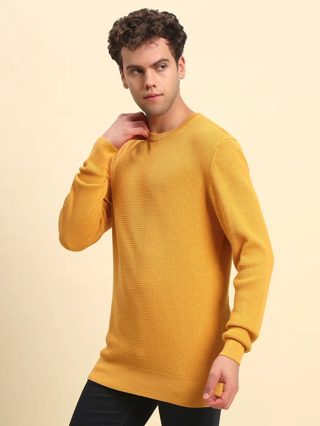Sweater for Men | Winter Wear Cotton Fabric Pull-On Closure Round Neck Regular Fit Self Design Pattern - Image 2