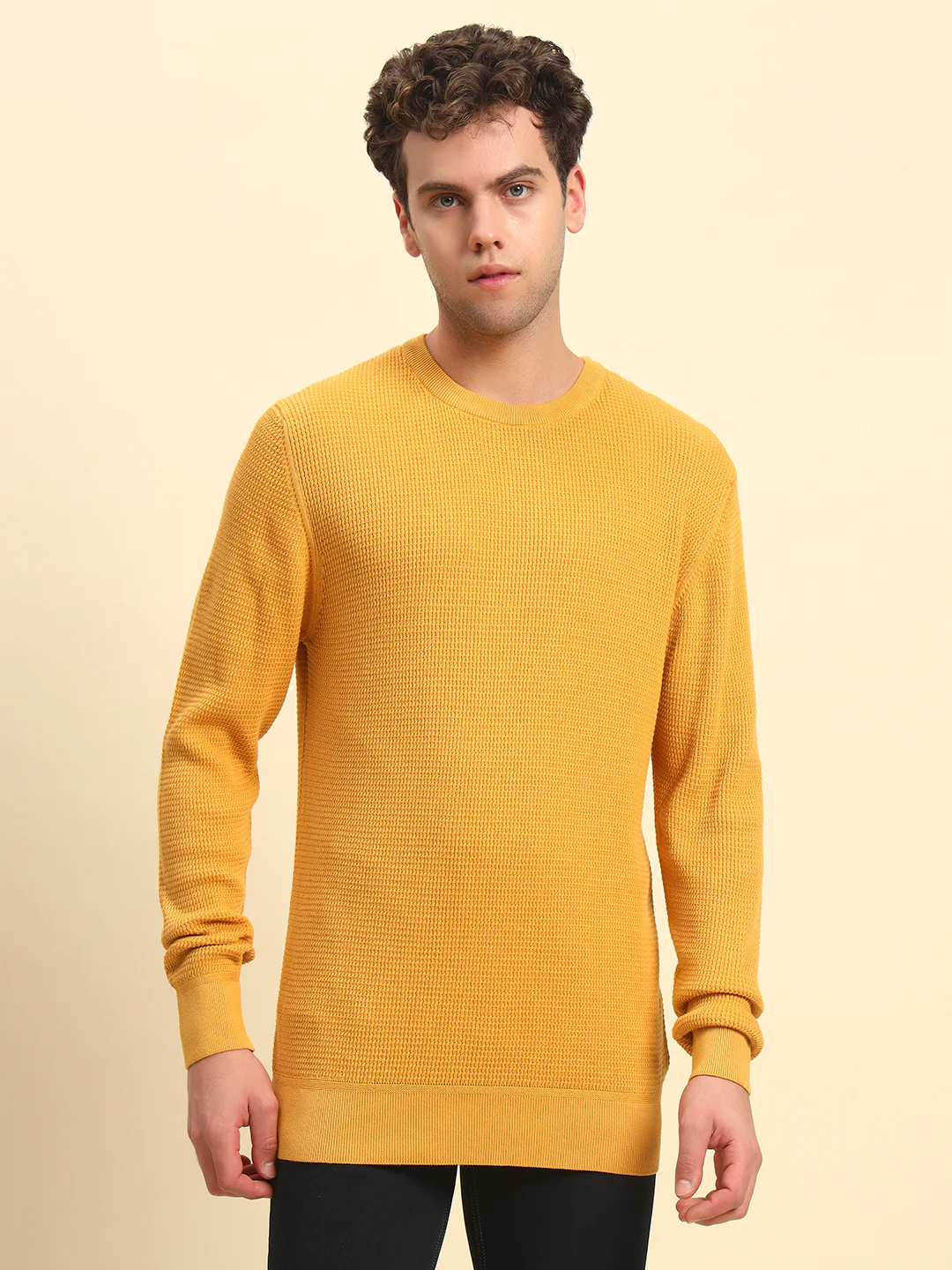 Sweater for Men | Winter Wear Cotton Fabric Pull-On Closure Round Neck Regular Fit Self Design Pattern - Image 3