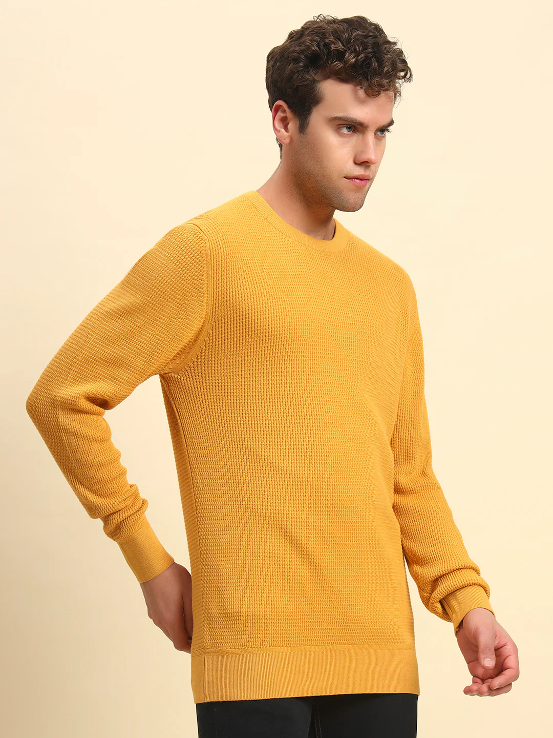 Sweater for Men | Winter Wear Cotton Fabric Pull-On Closure Round Neck Regular Fit Self Design Pattern - Image 4