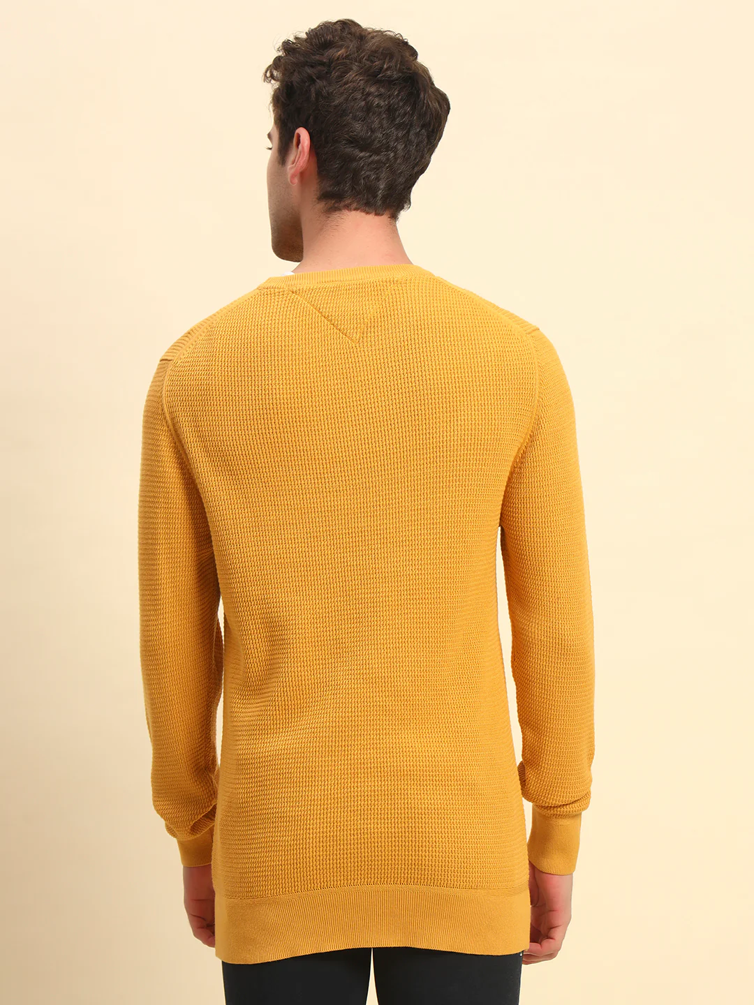 Sweater for Men | Winter Wear Cotton Fabric Pull-On Closure Round Neck Regular Fit Self Design Pattern - Image 5