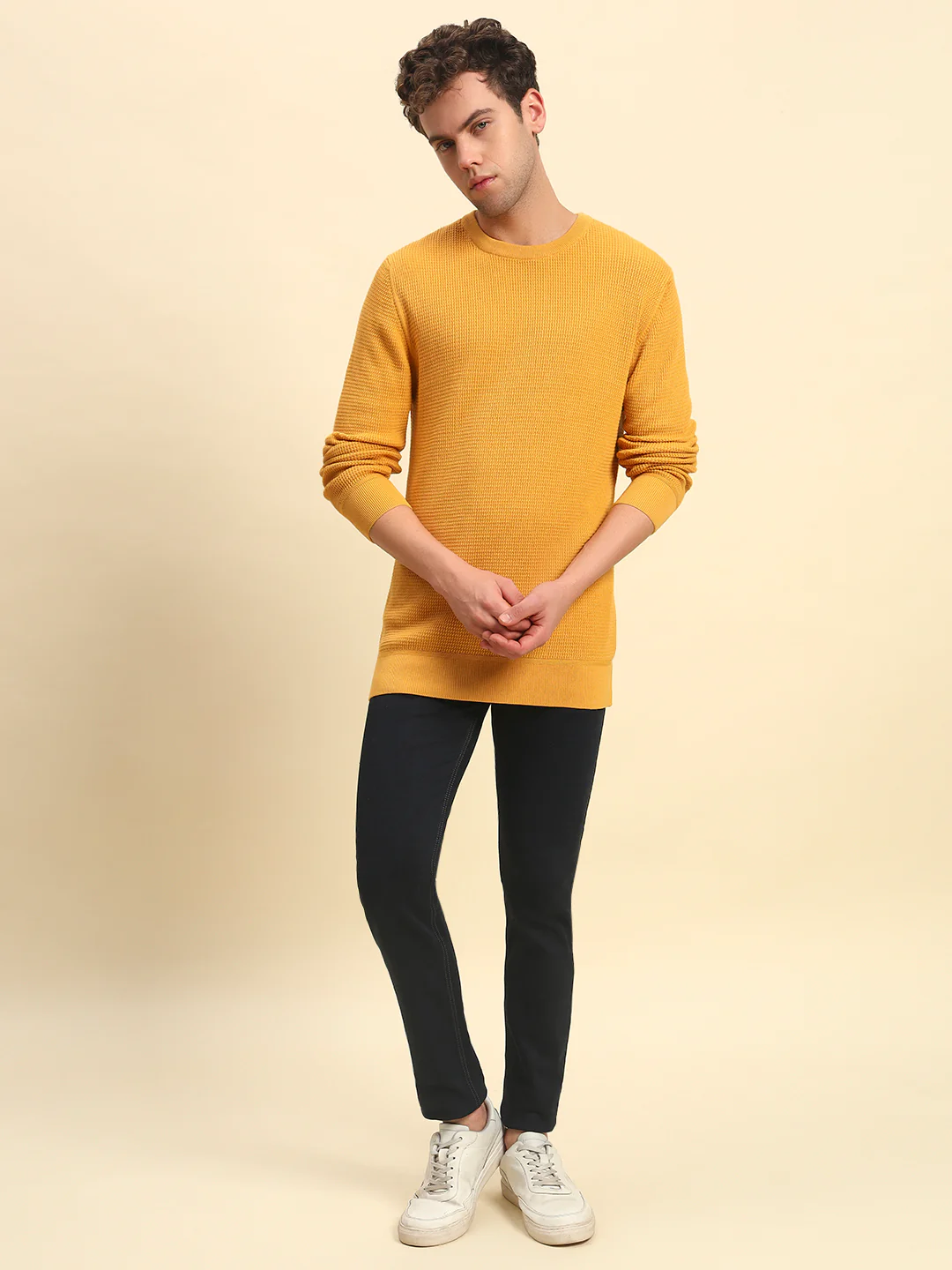 Sweater for Men | Winter Wear Cotton Fabric Pull-On Closure Round Neck Regular Fit Self Design Pattern - Image 6