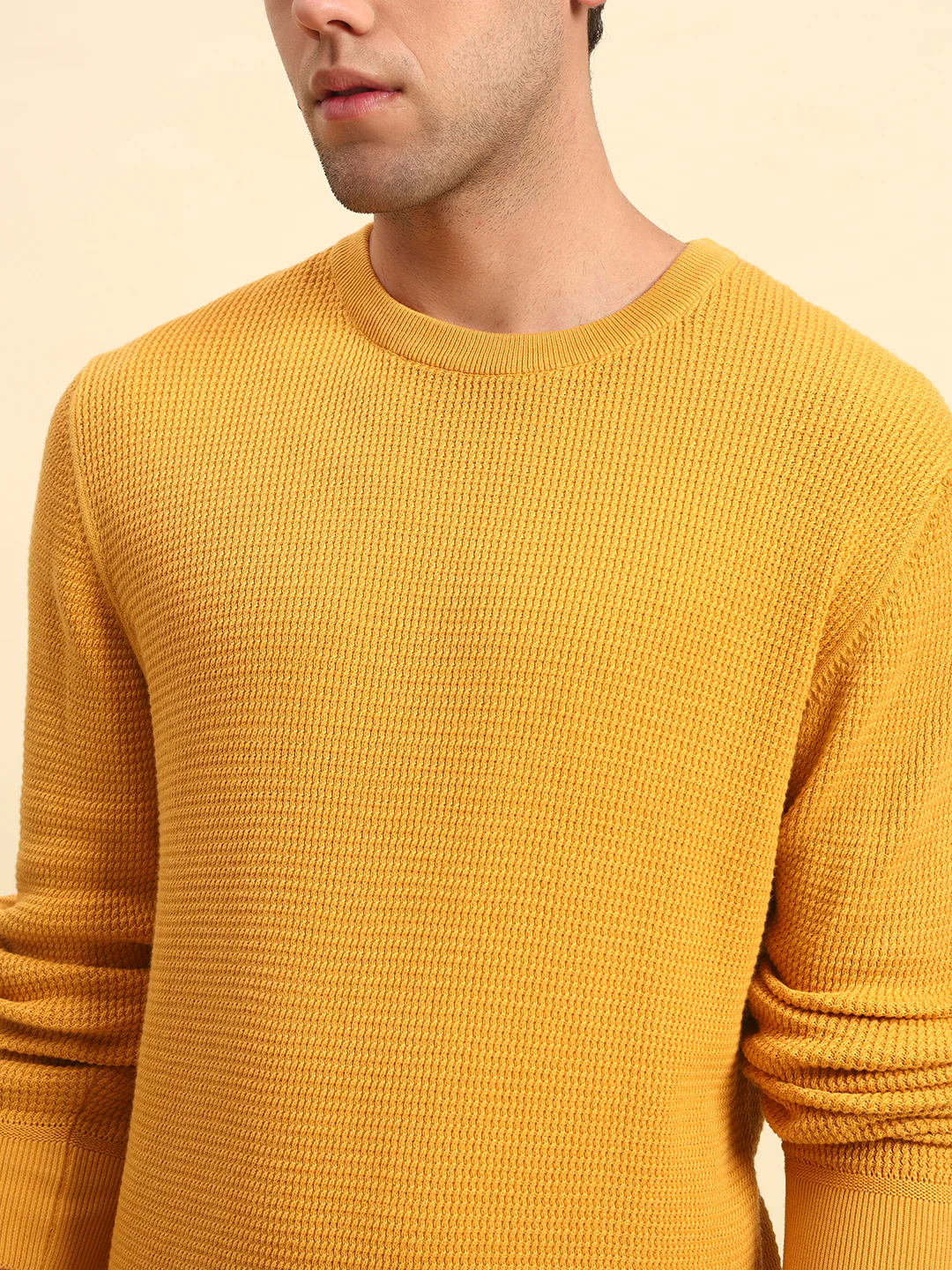 Sweater for Men | Winter Wear Cotton Fabric Pull-On Closure Round Neck Regular Fit Self Design Pattern - Image 7