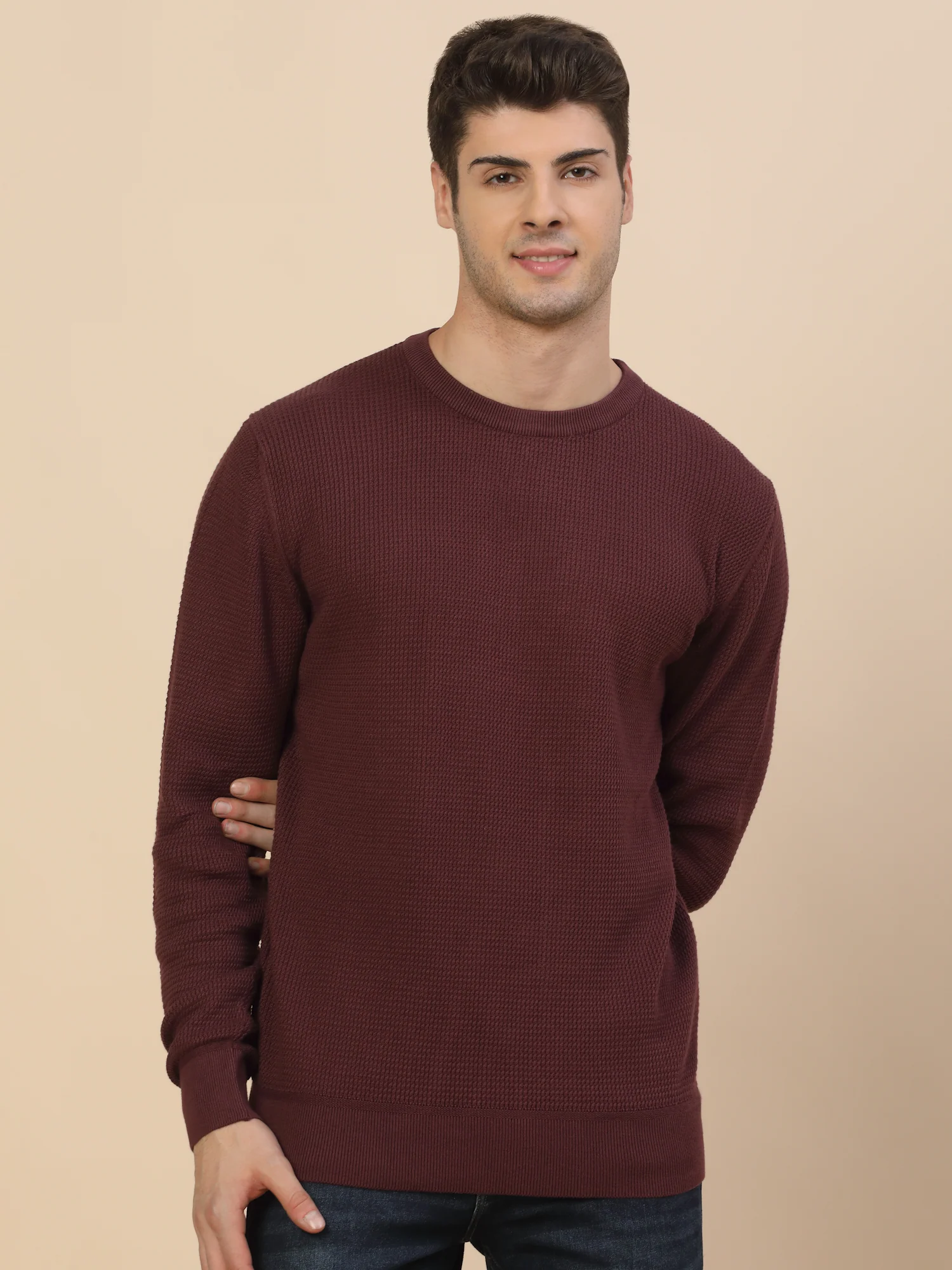 Sweater for Men | Winter Wear Cotton Fabric Pull-On Closure Round Neck Regular Fit Self Design Pattern - Image 2