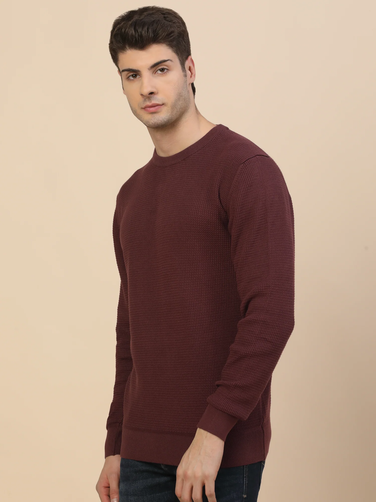 Sweater for Men | Winter Wear Cotton Fabric Pull-On Closure Round Neck Regular Fit Self Design Pattern - Image 3