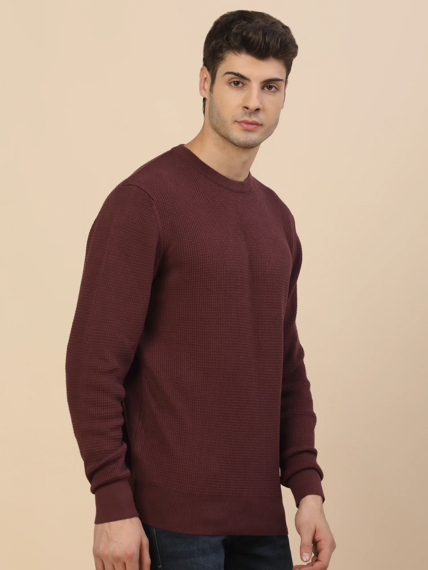 Sweater for Men | Winter Wear Cotton Fabric Pull-On Closure Round Neck Regular Fit Self Design Pattern - Image 4
