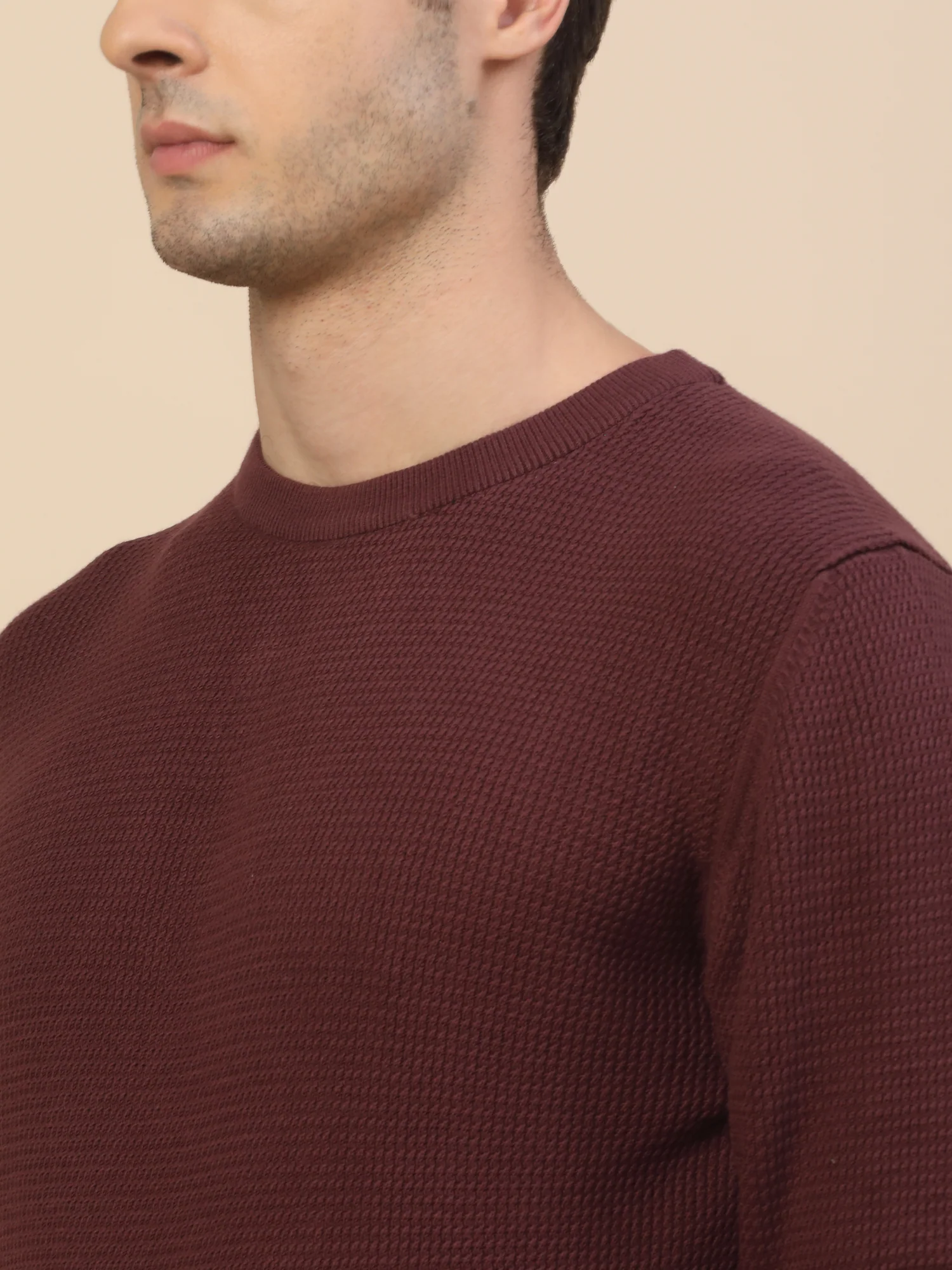 Sweater for Men | Winter Wear Cotton Fabric Pull-On Closure Round Neck Regular Fit Self Design Pattern - Image 5
