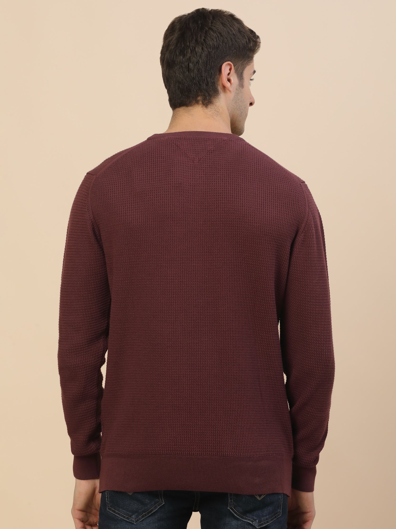 Sweater for Men | Winter Wear Cotton Fabric Pull-On Closure Round Neck Regular Fit Self Design Pattern - Image 6
