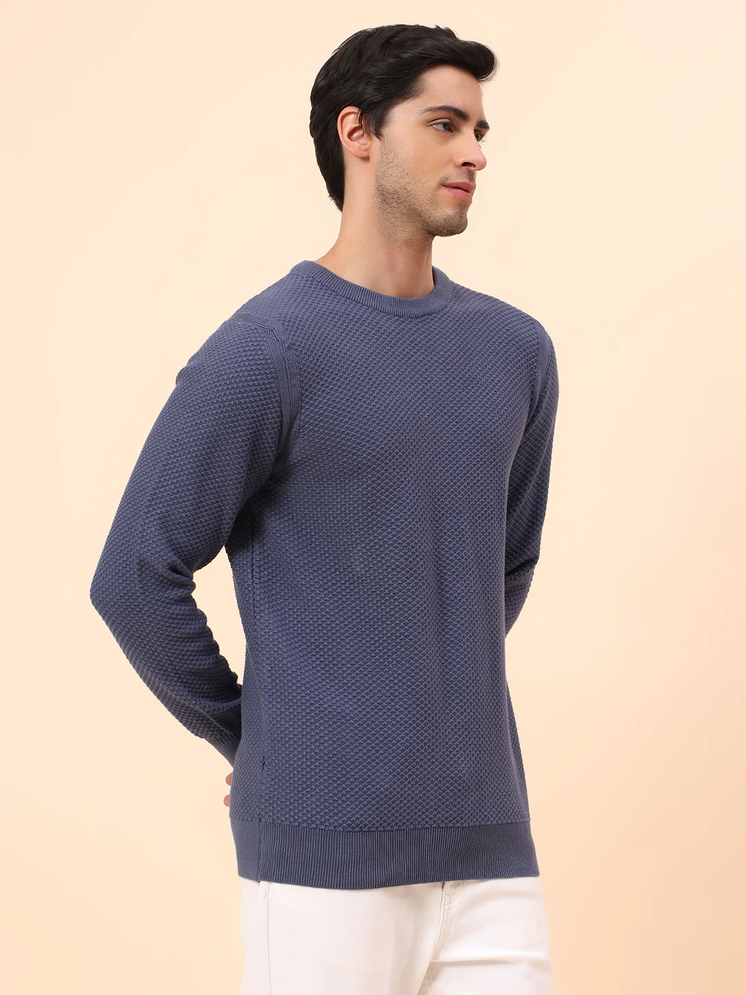 Sweater for Men | Winter Wear Cotton Fabric Pull-On Closure Round Neck Regular Fit Self Design Pattern - Image 4
