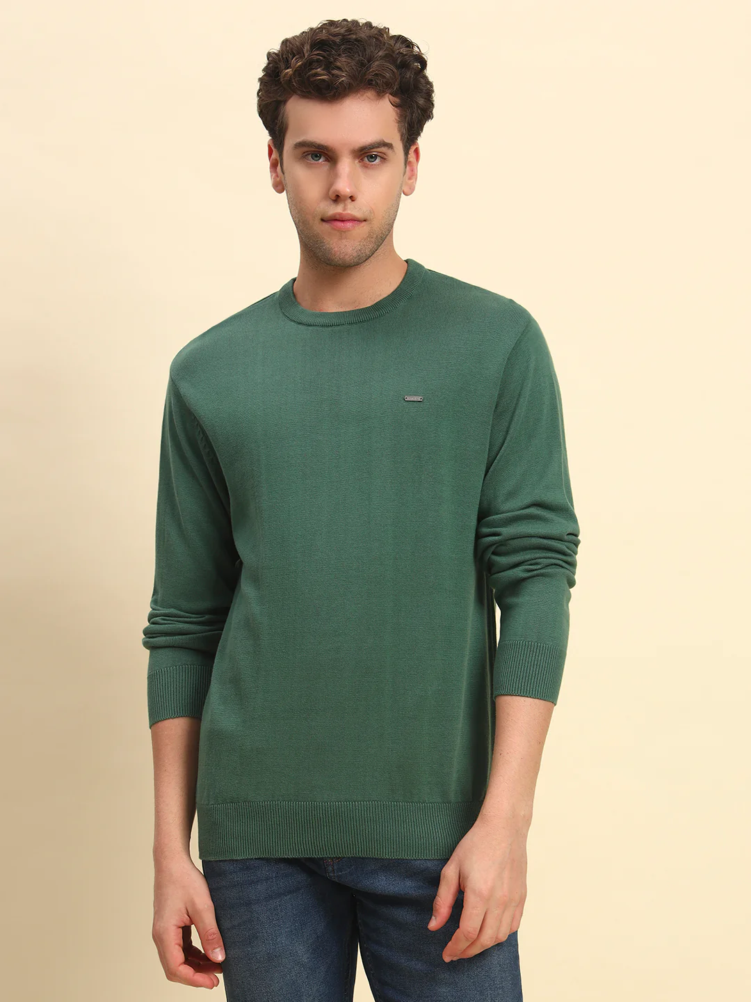 Sweater for Men | Winter Wear Cotton Fabric Pull-On Closure Round Neck Regular Fit Solid Pattern - Image 2