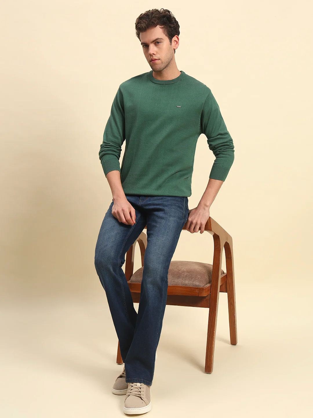 Sweater for Men | Winter Wear Cotton Fabric Pull-On Closure Round Neck Regular Fit Solid Pattern - Image 6