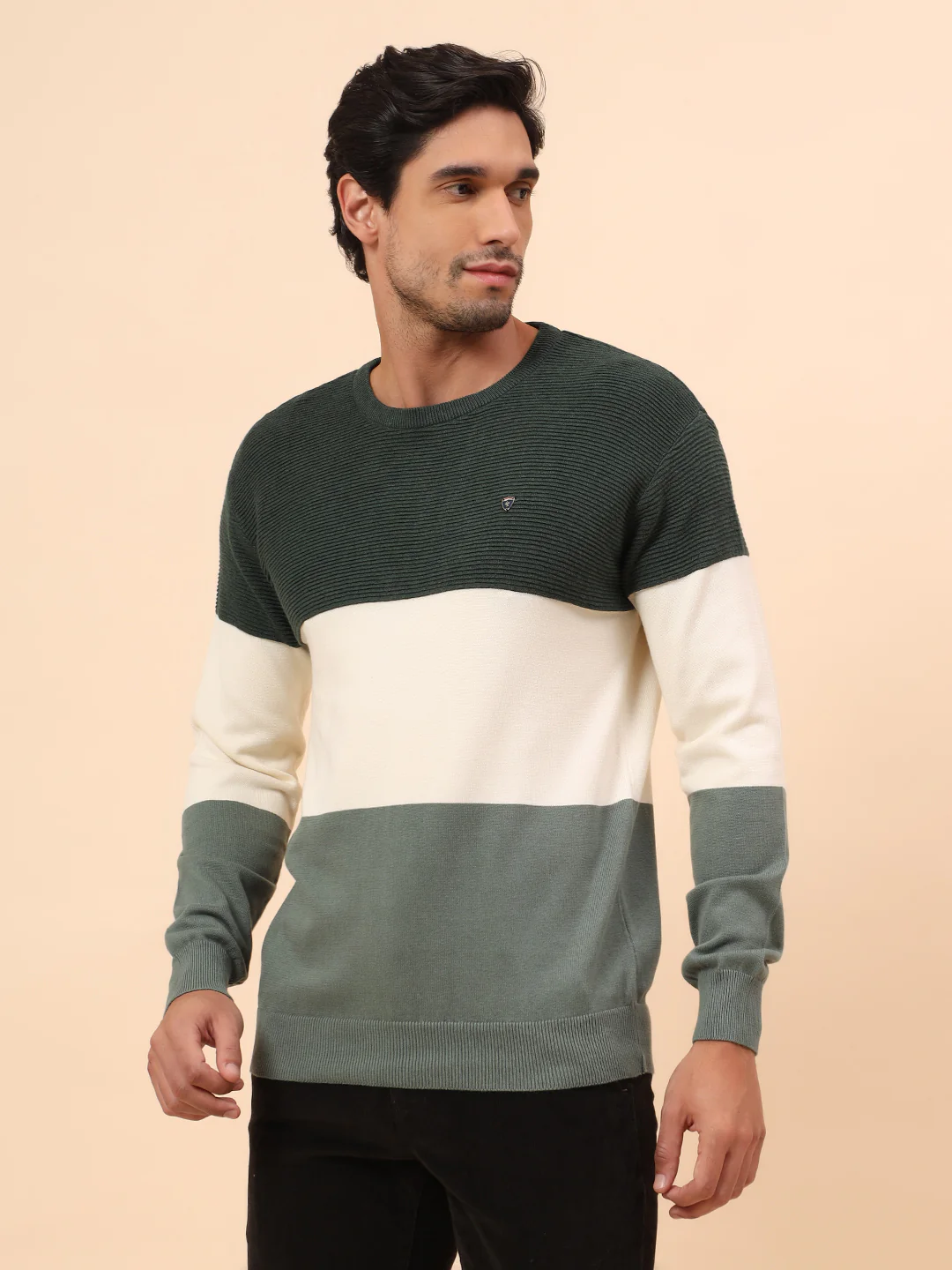 Sweater for Men | Winter Wear Cotton Fabric Pull-On Closure Round Neck Regular Fit Striped Pattern - Image 4