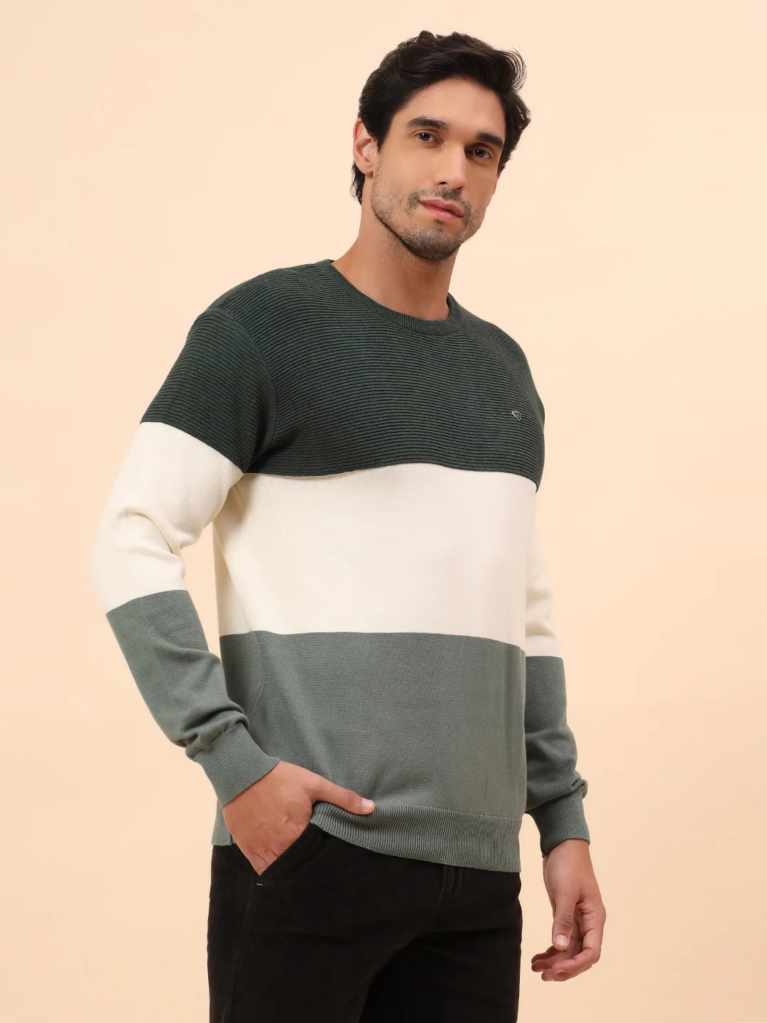 Sweater for Men | Winter Wear Cotton Fabric Pull-On Closure Round Neck Regular Fit Striped Pattern - Image 5
