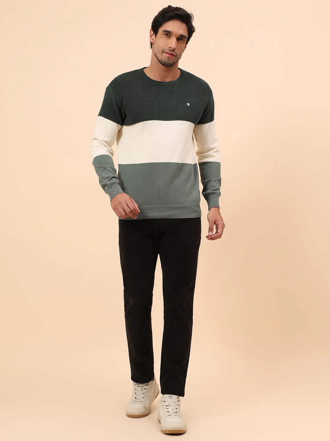 Sweater for Men | Winter Wear Cotton Fabric Pull-On Closure Round Neck Regular Fit Striped Pattern - Image 8