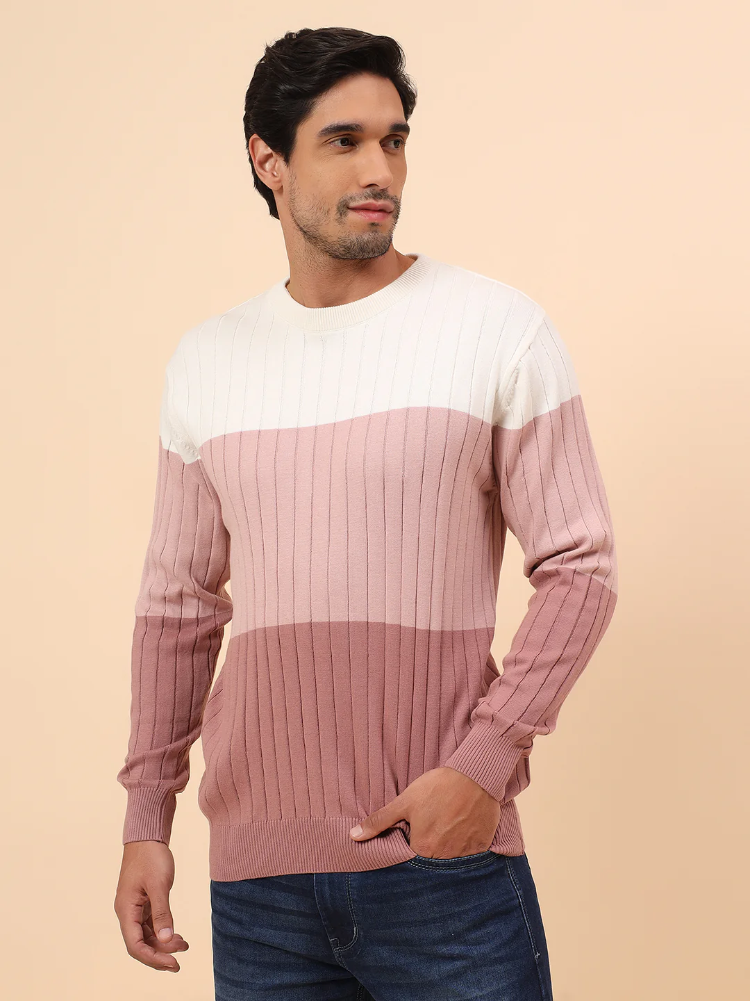 Sweater for Men | Winter Wear Cotton Fabric Pull-On Closure Round Neck Regular Fit Striped Pattern - Image 3