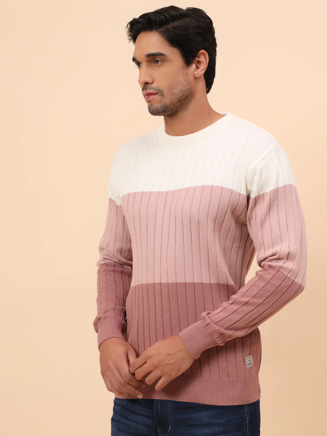 Sweater for Men | Winter Wear Cotton Fabric Pull-On Closure Round Neck Regular Fit Striped Pattern - Image 4