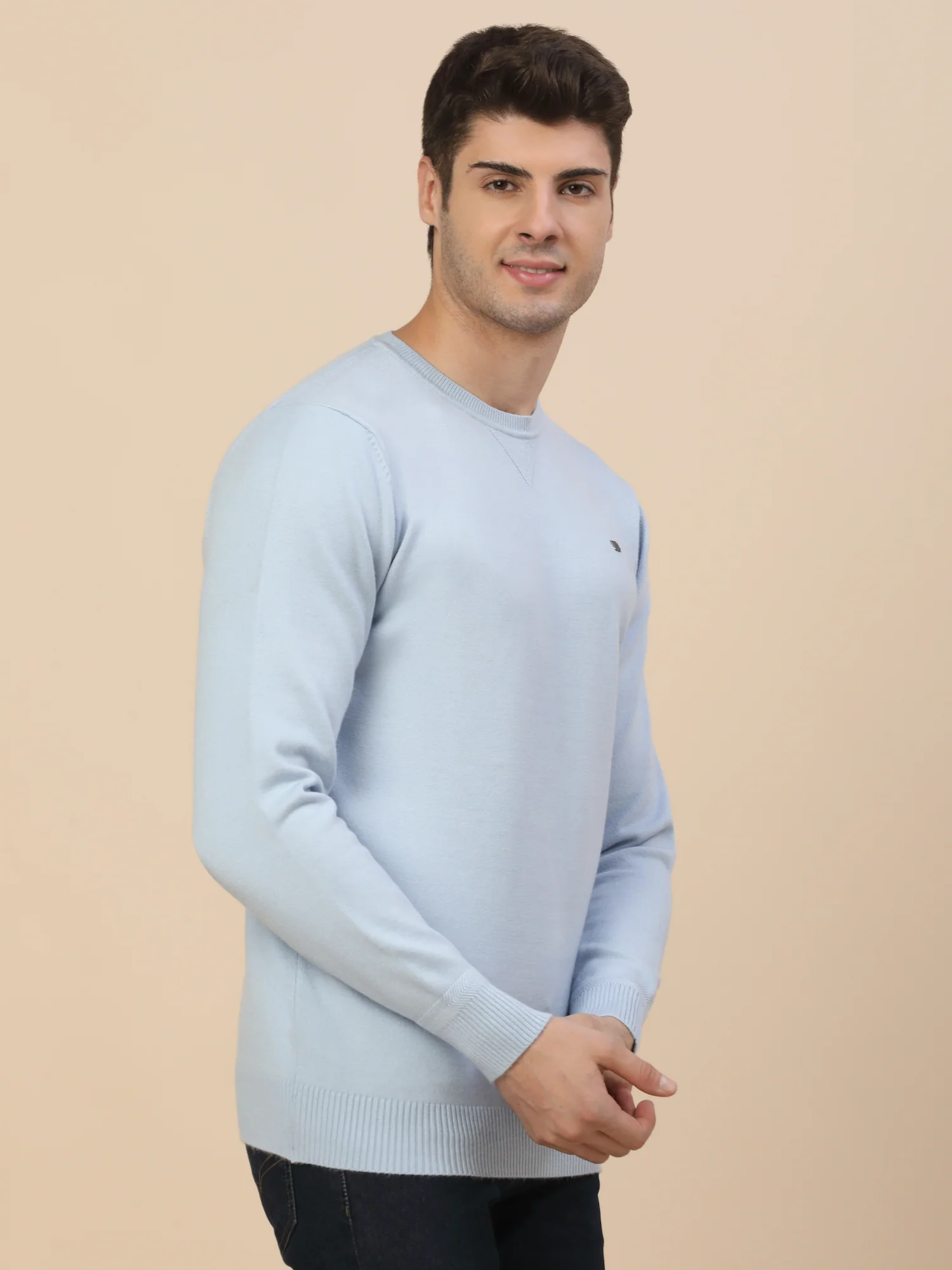 Sweater for Men | Winter Wear Fancy Fabric Pull-On Closure Round Neck Regular Fit Solid Pattern - Image 3